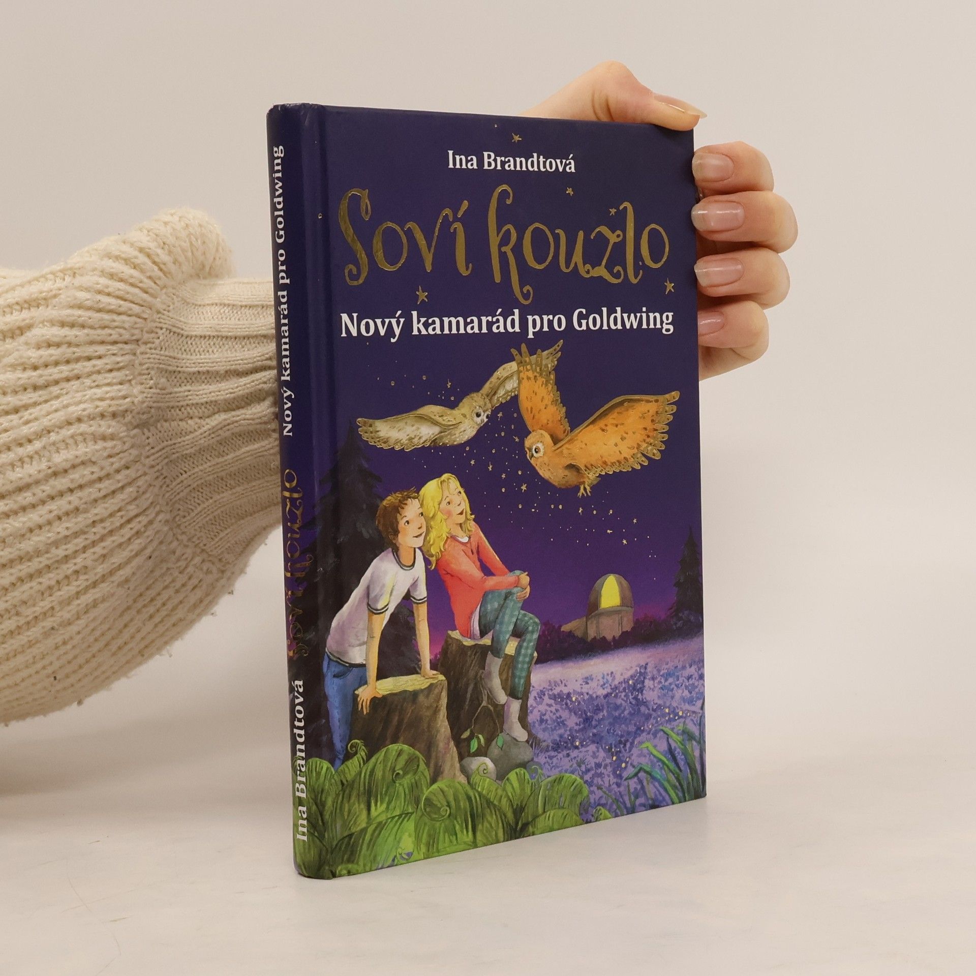 Soví kouzlo. Nový kamarád pro Goldwing