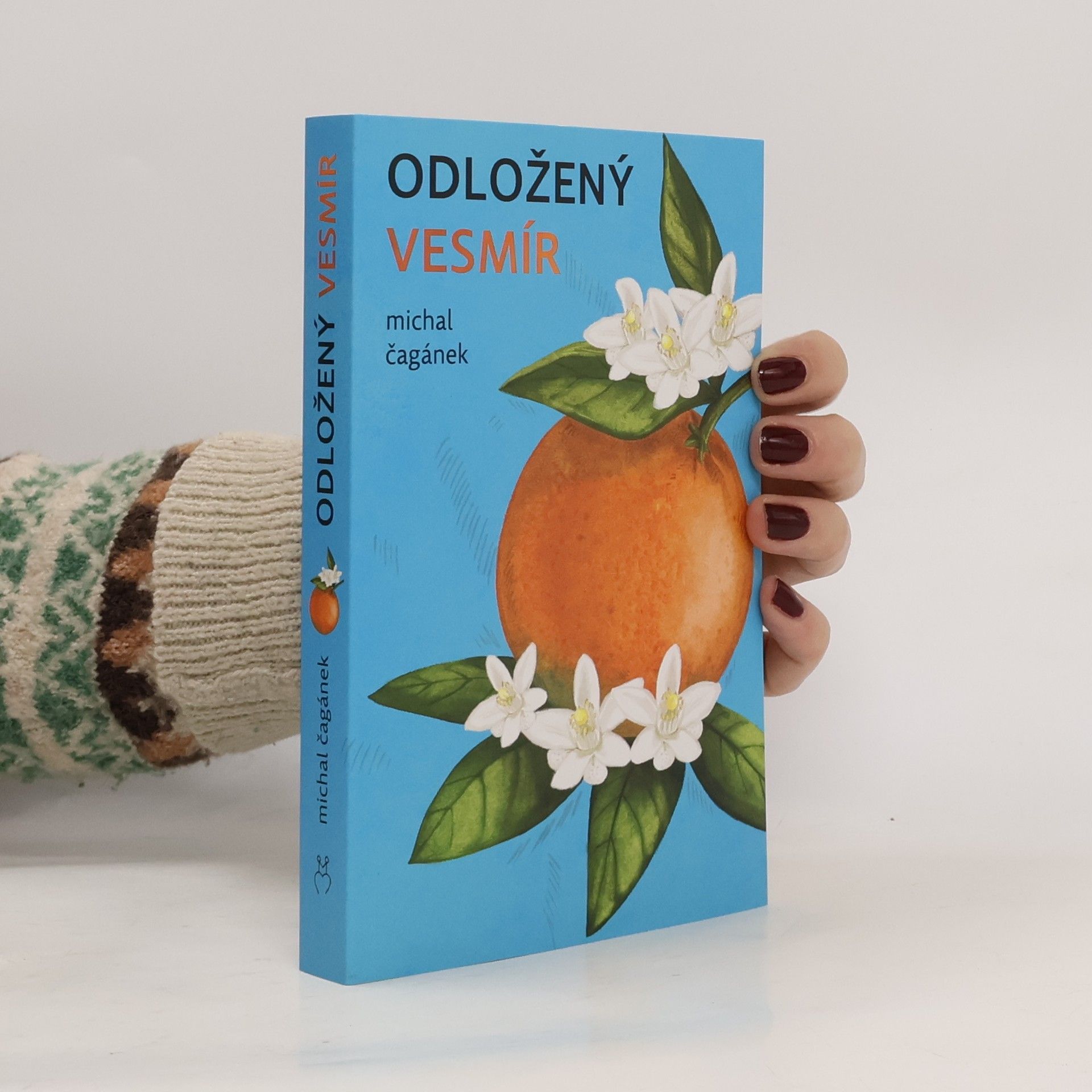 Michal Čagánek Odložený Vesmír