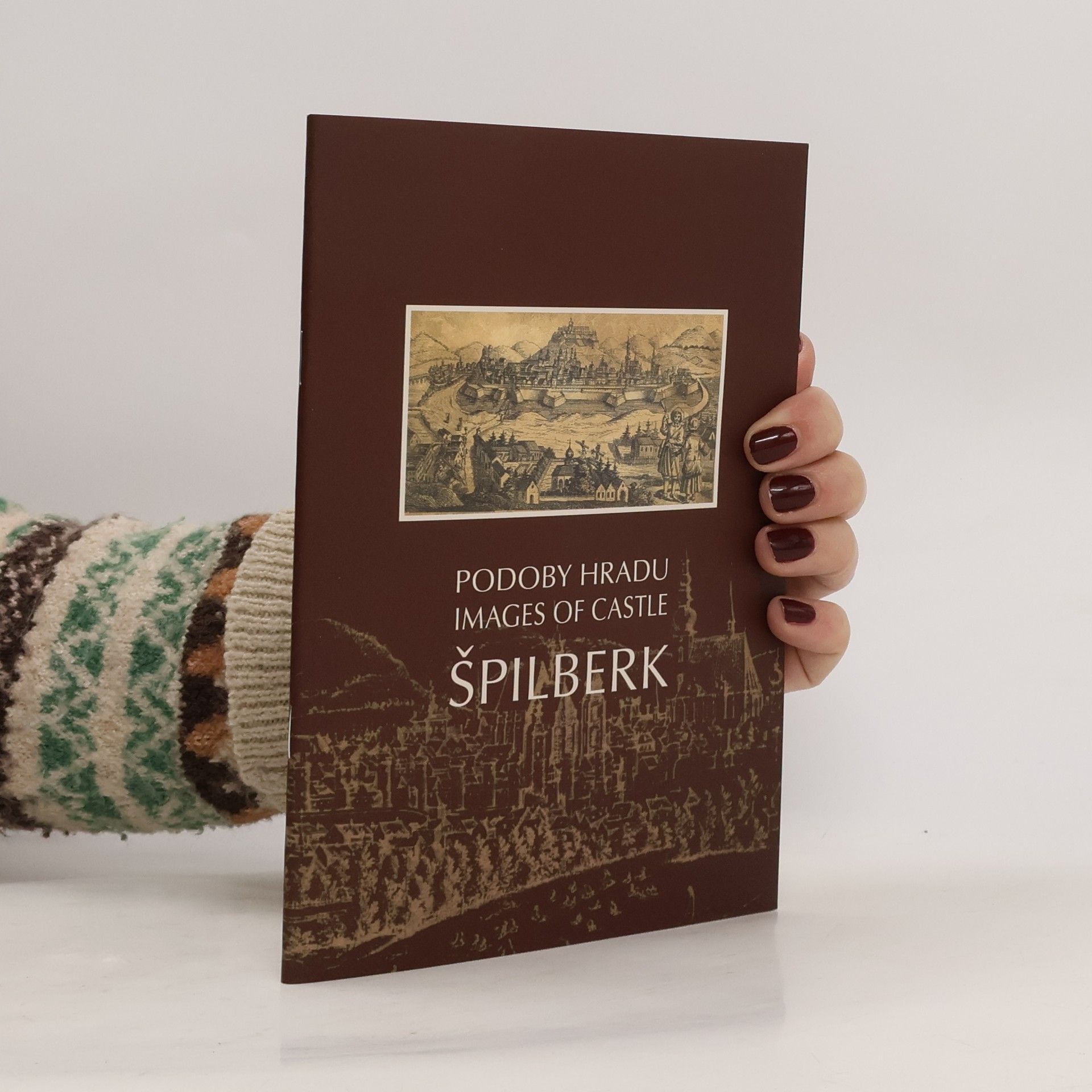Dagmar Baumannová Podoby hradu Špilberk / Images of Castle Špilberk