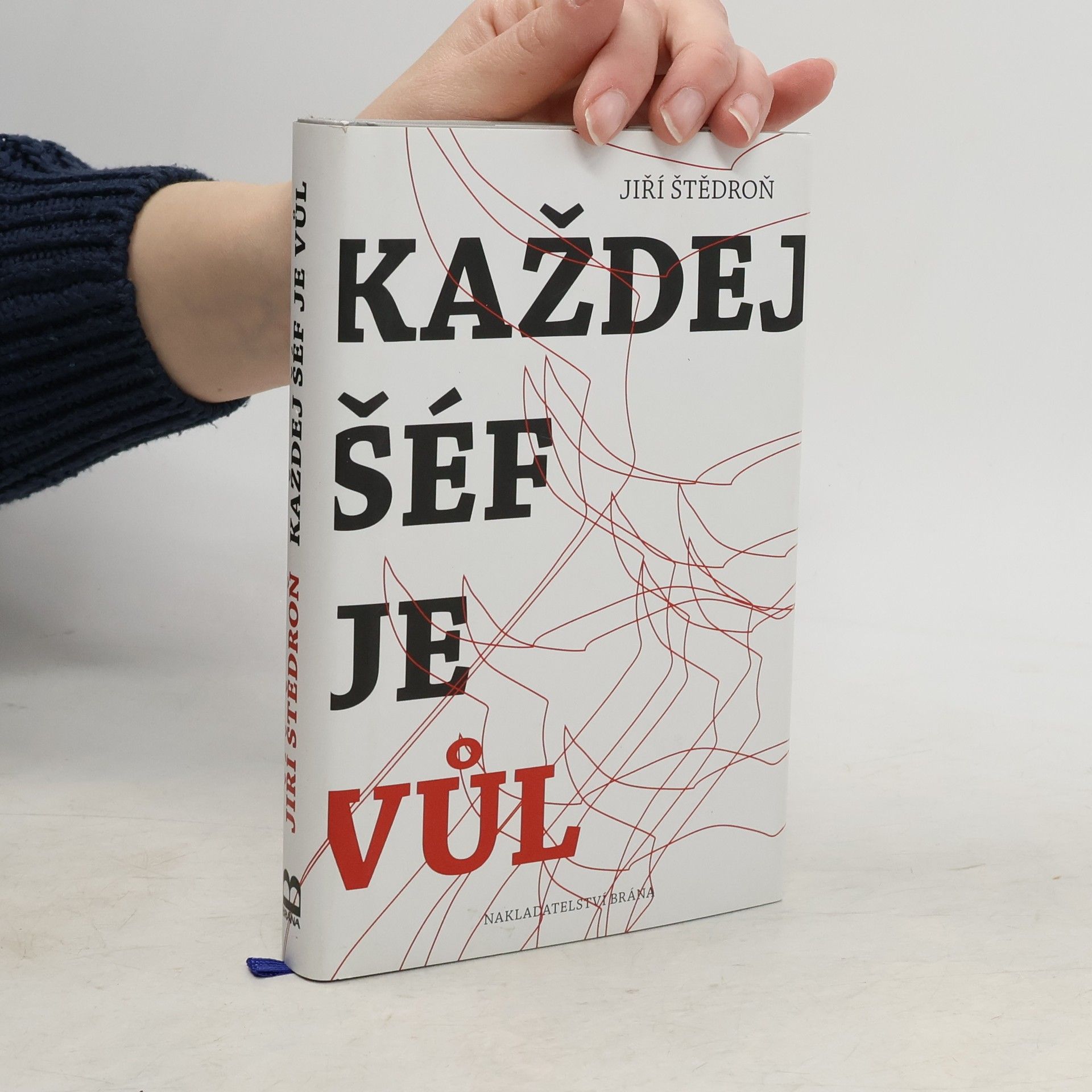 Každej šéf je vůl