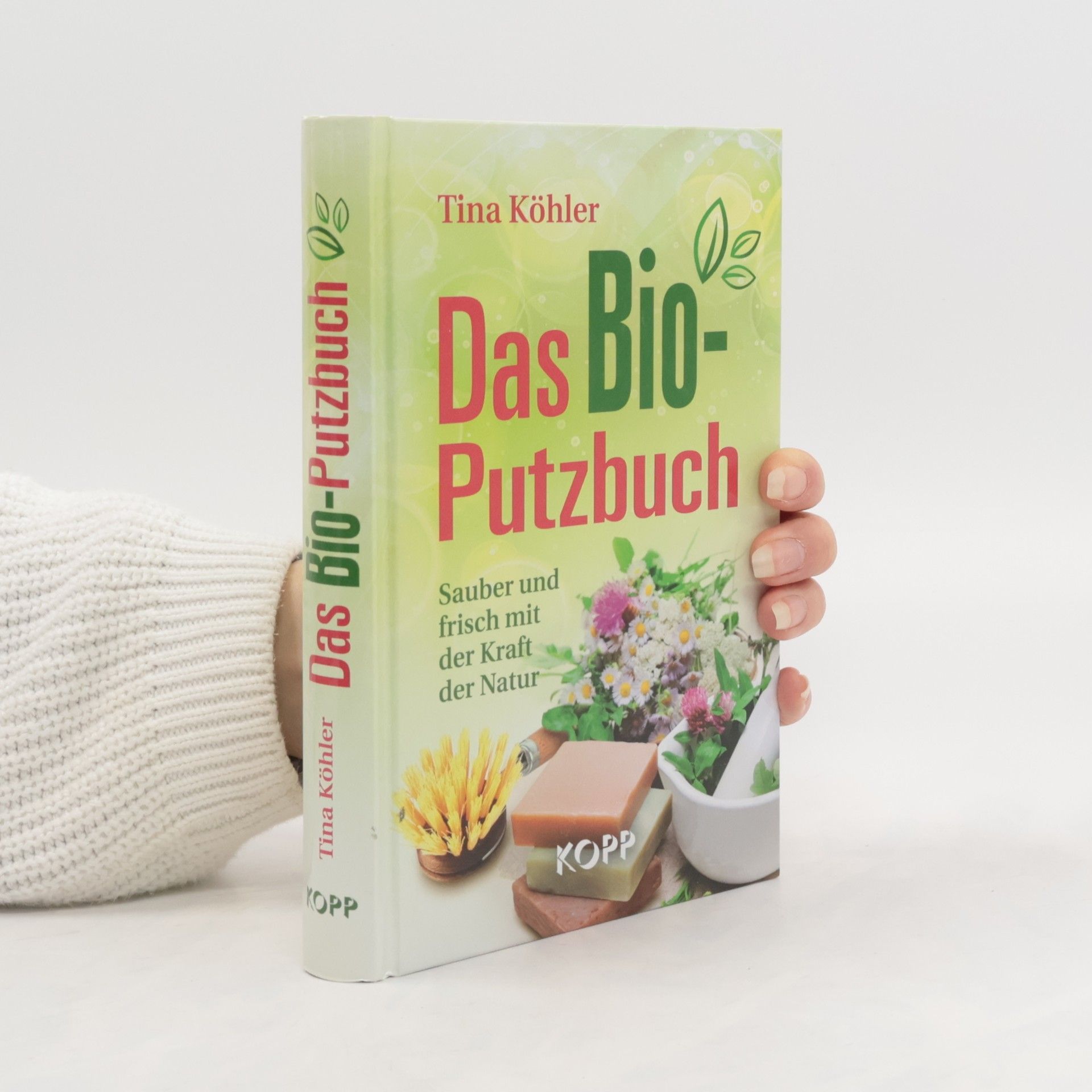 Das Bio-Putzbuch