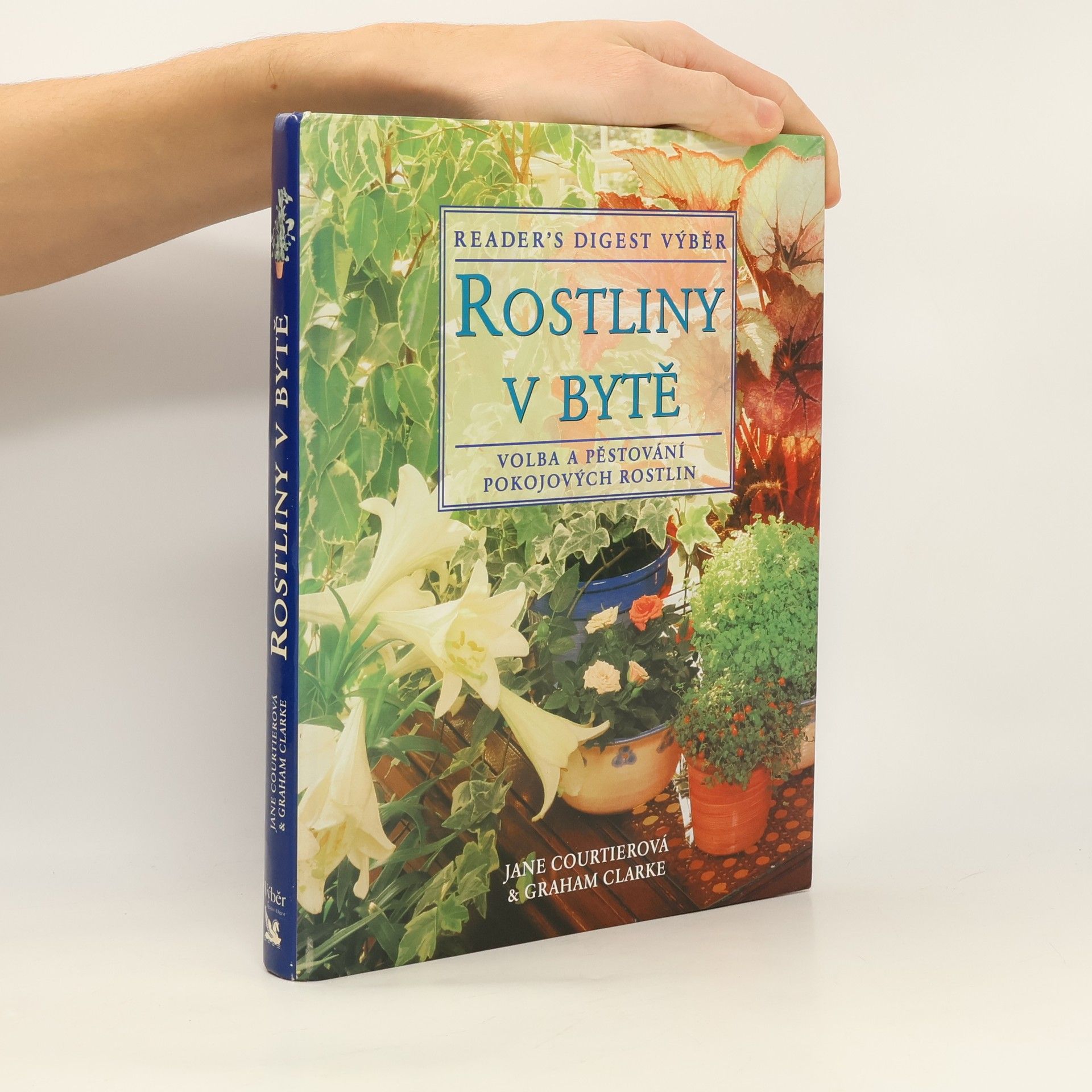 Rostliny v bytě. Základní pomocník při výběru a péči o pokojové rostliny