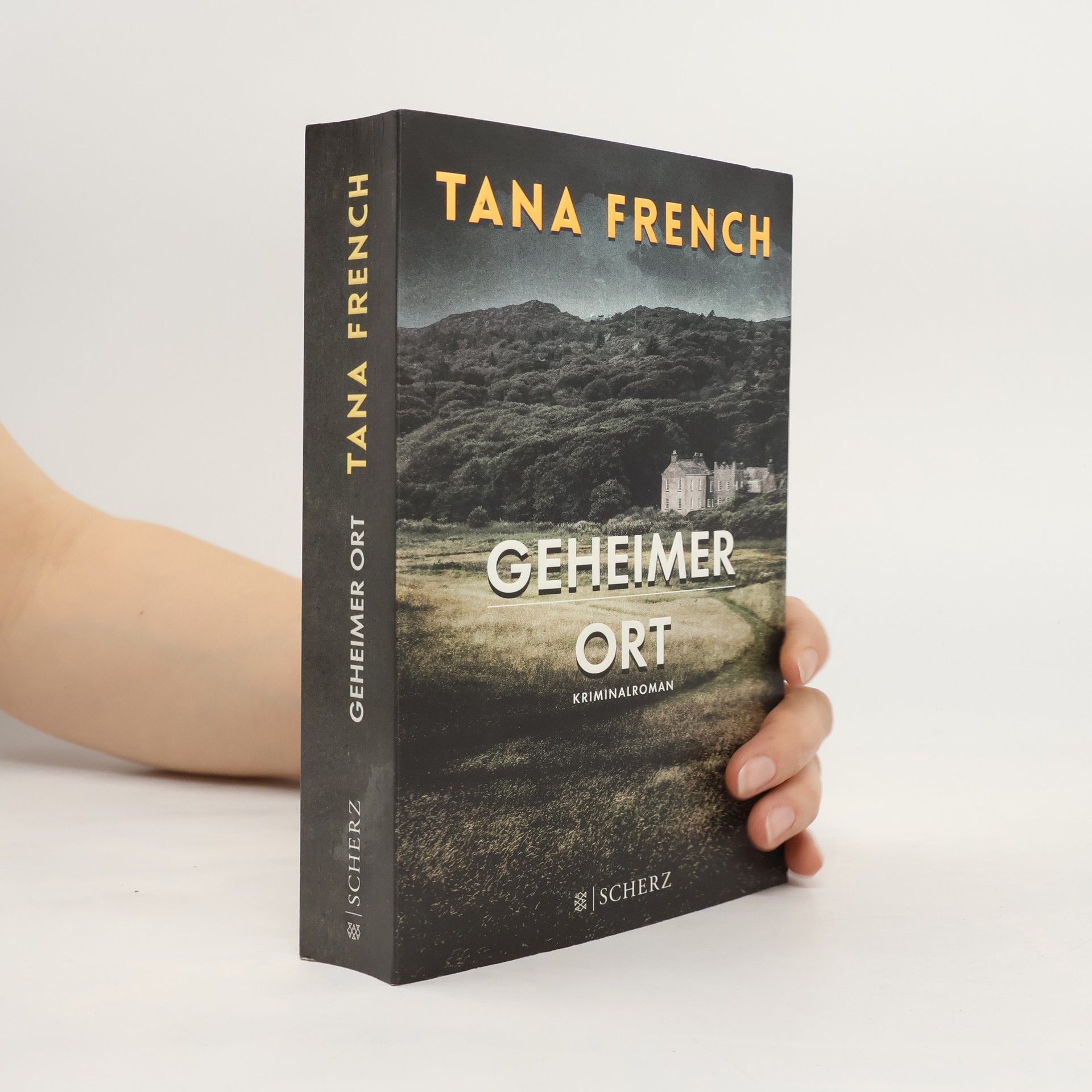 Tana French Geheimer Ort