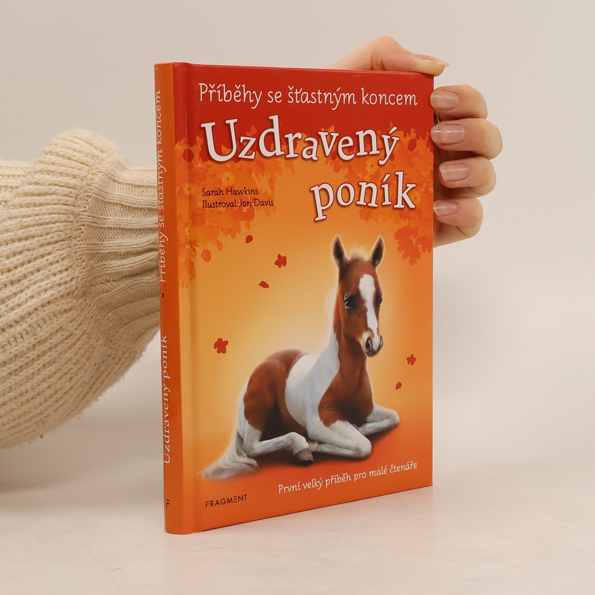 Eva Brožová Uzdravený poník