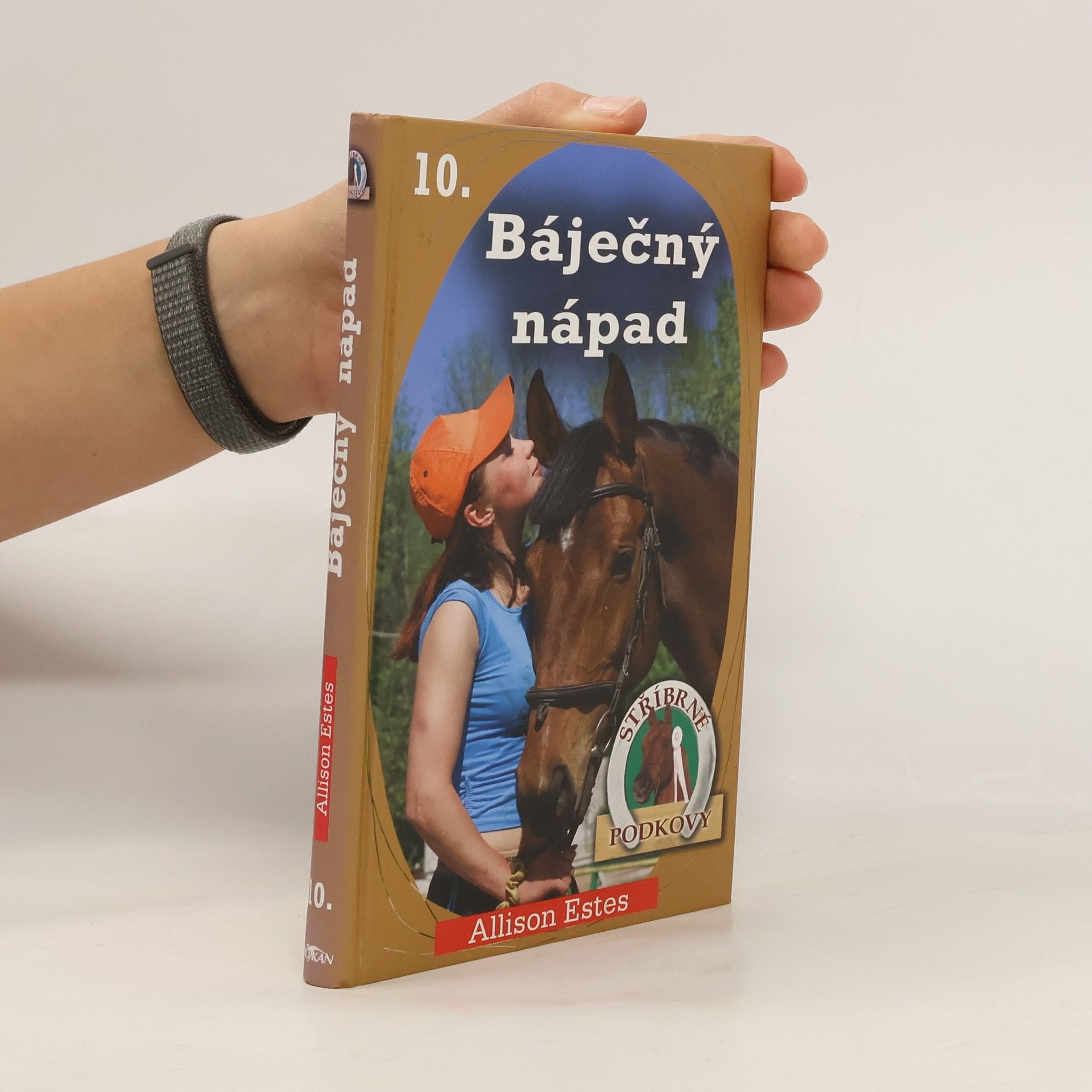 Stříbrné podkovy 10. Báječný nápad