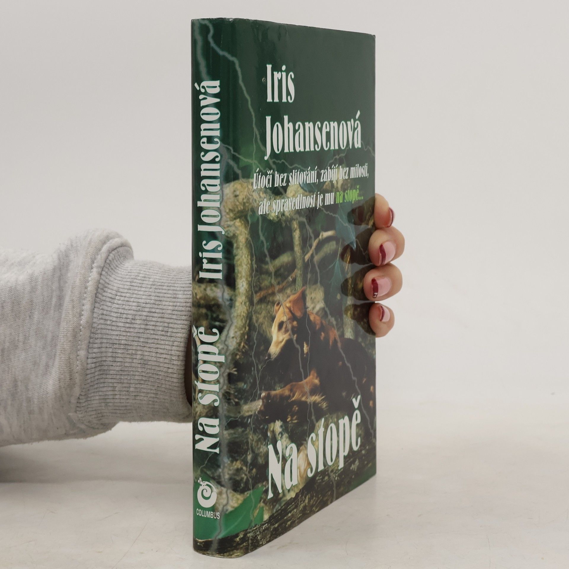 Iris Johansen Na stopě