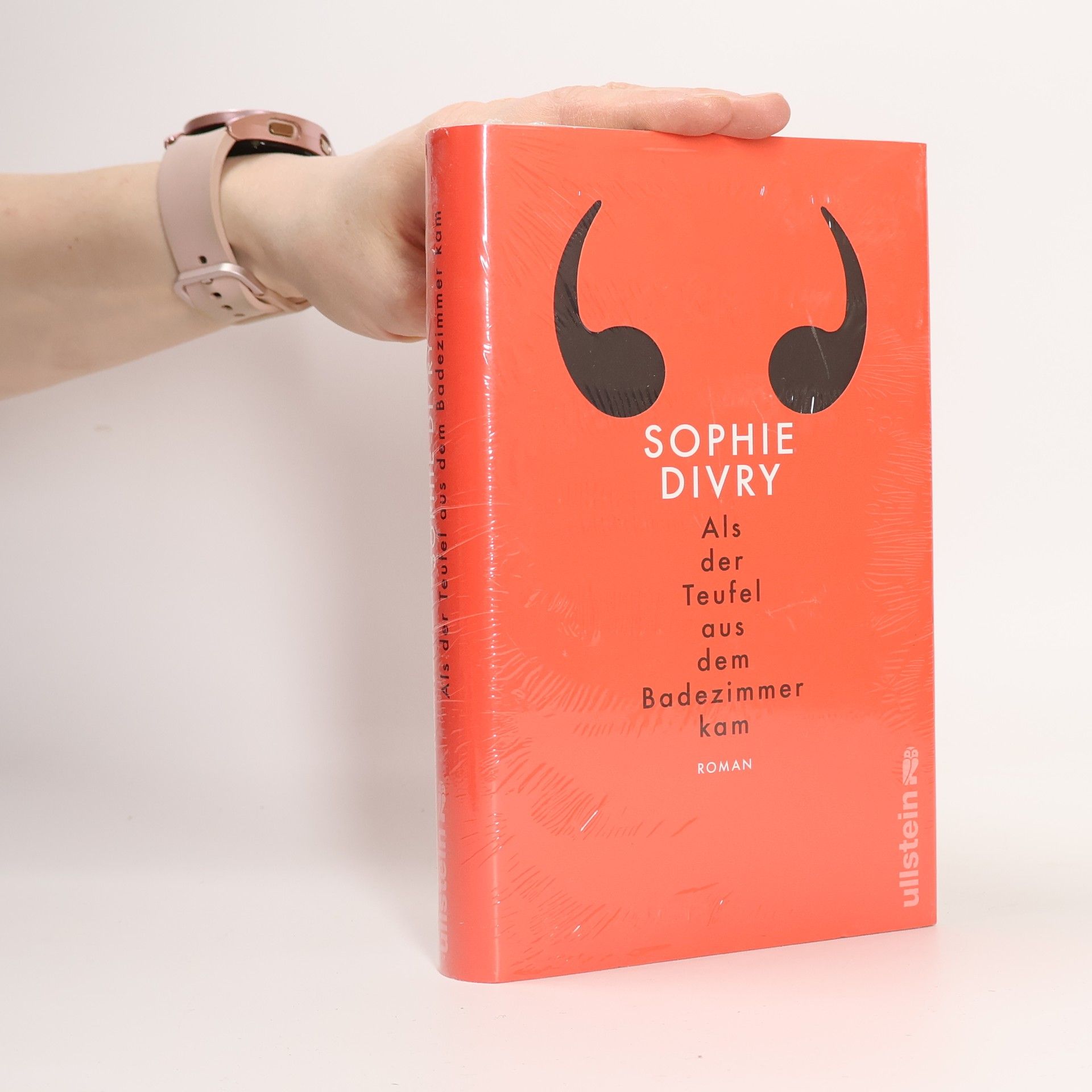 Als der Teufel aus dem Badezimmer kam