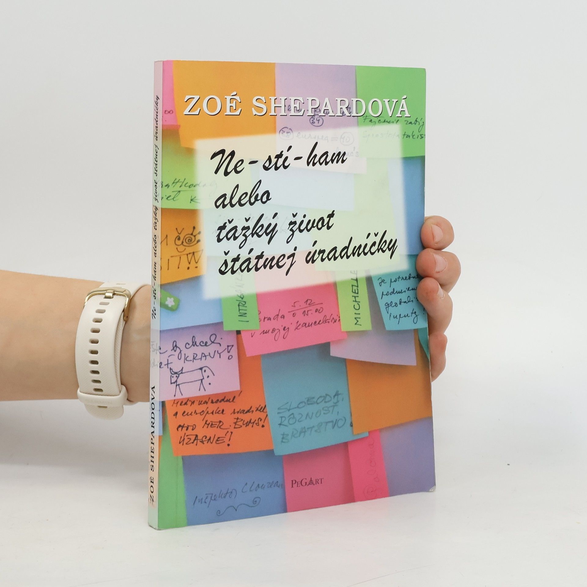 Ne-stí-ham! alebo Ťažký život štátnej úradníčky