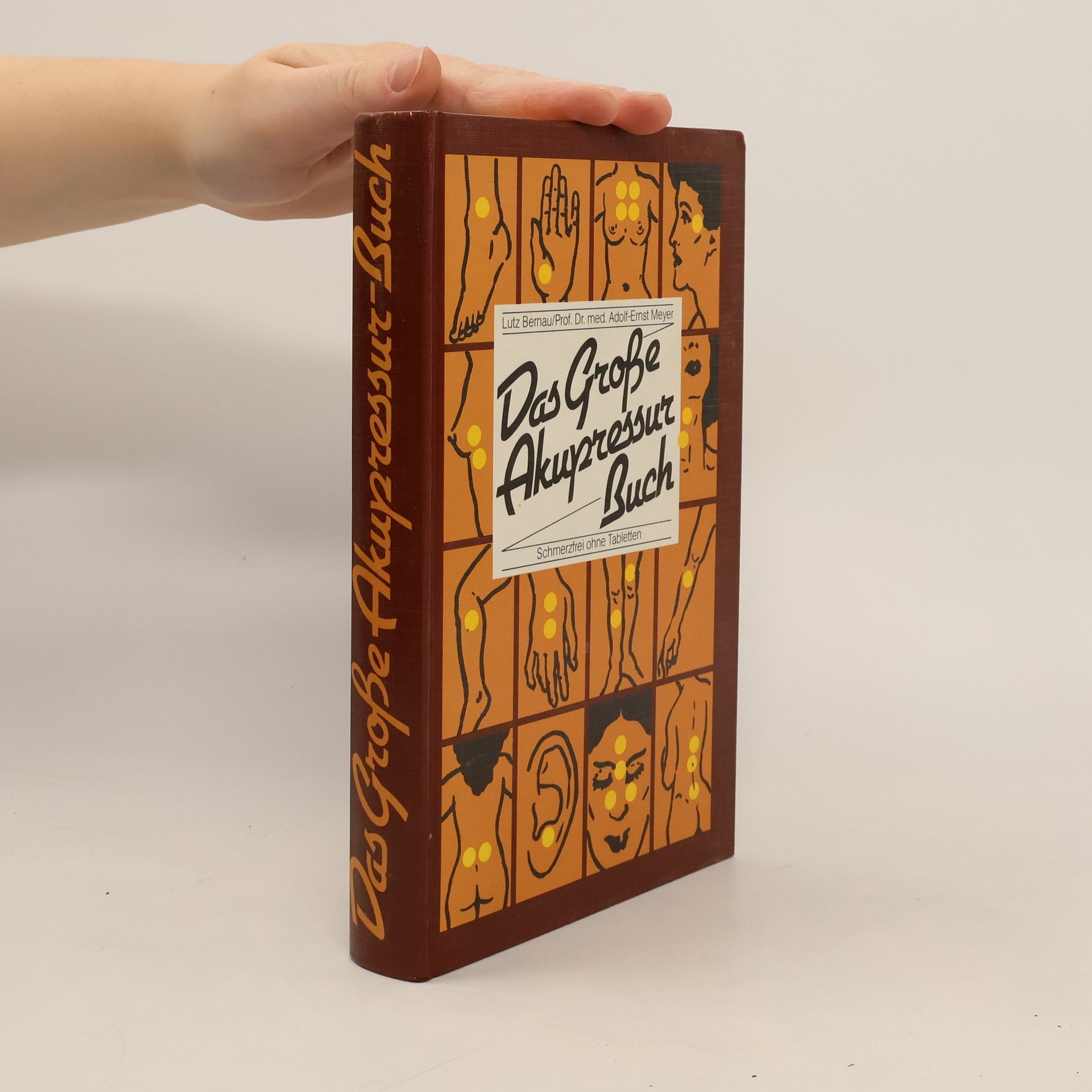 Das Grosse Akupressur Buch