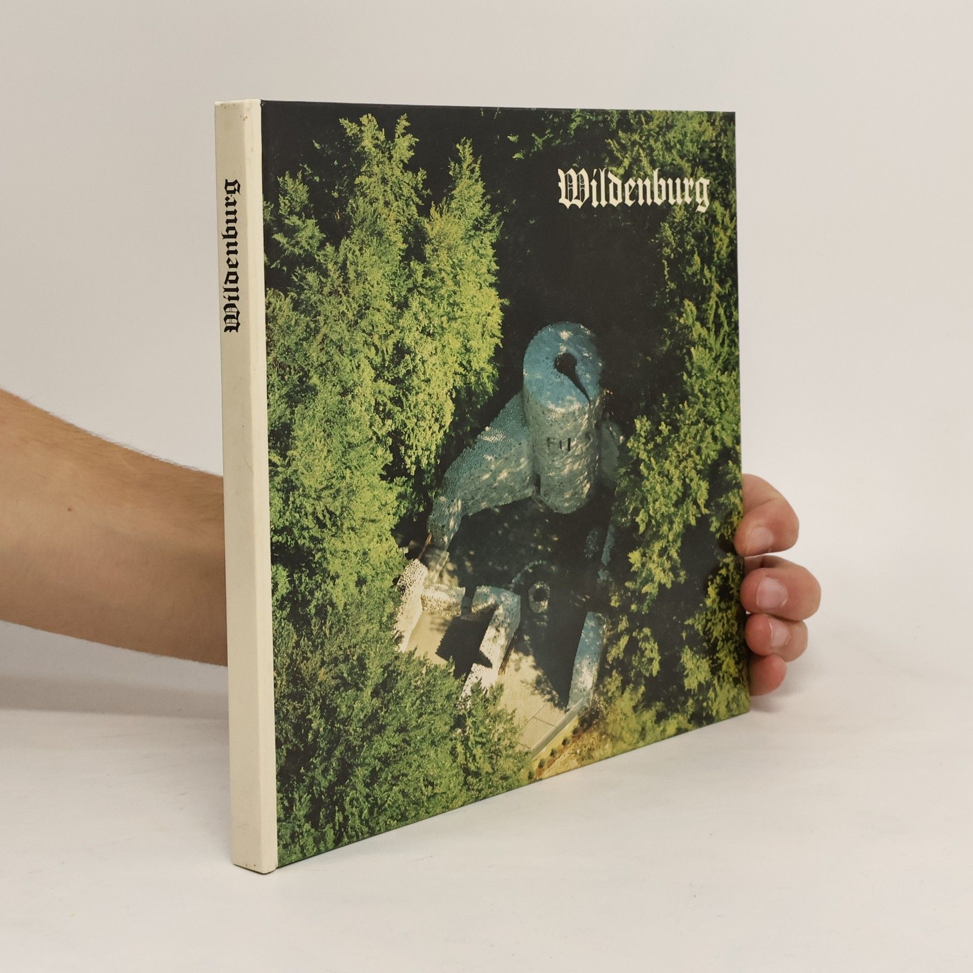 Verein Pro Wildenburg Wildenburg