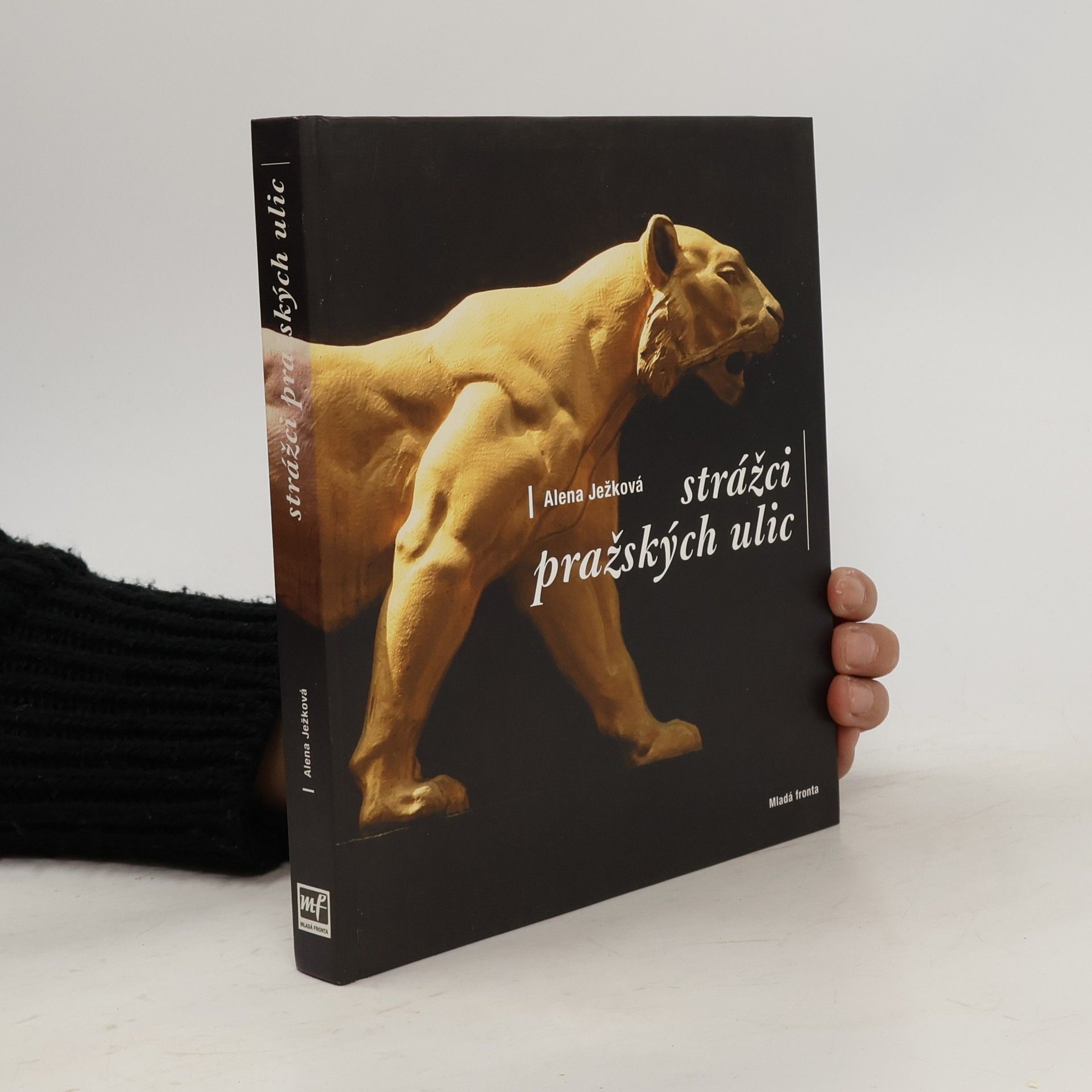 Strážci pražských ulic