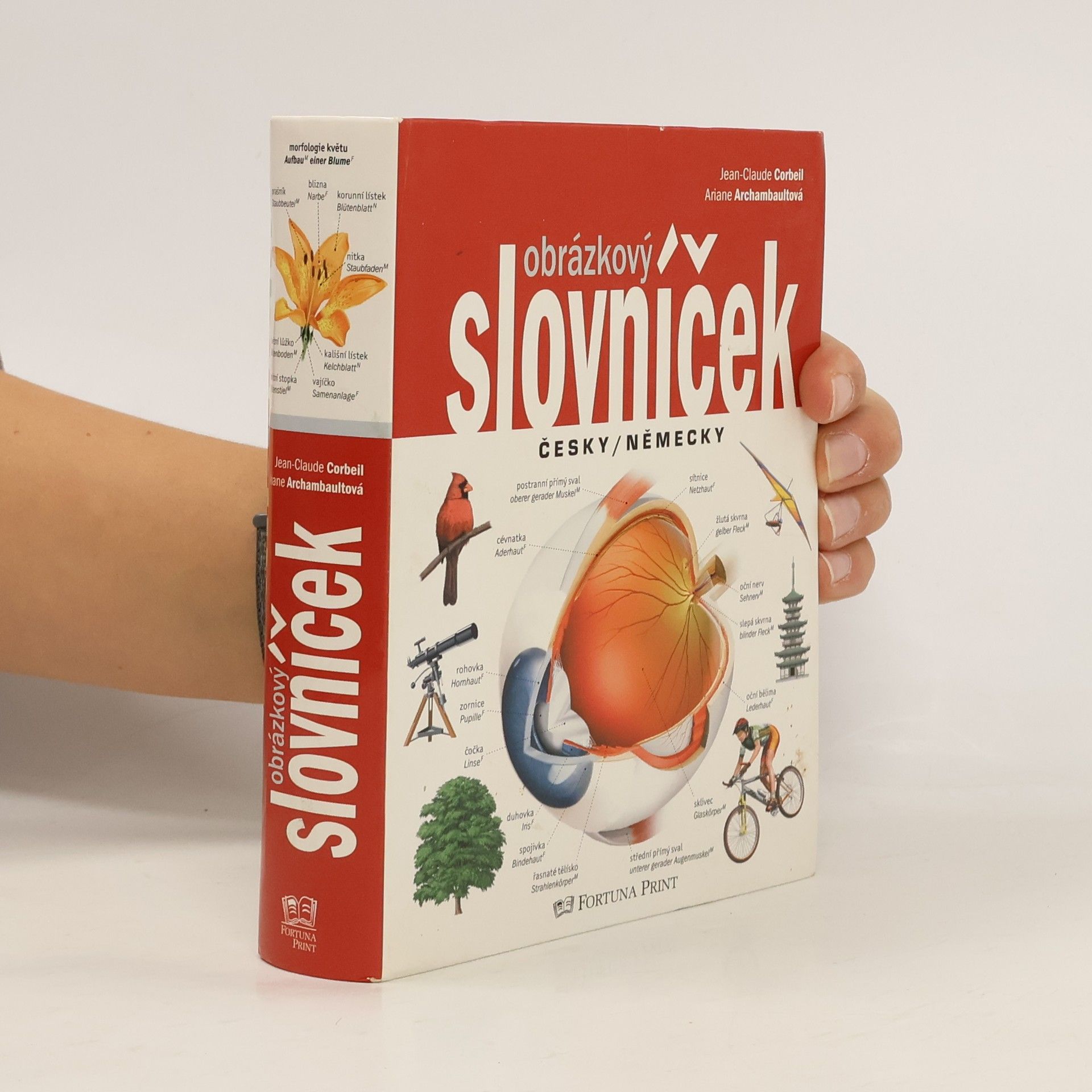 Obrázkový slovníček česky/německy