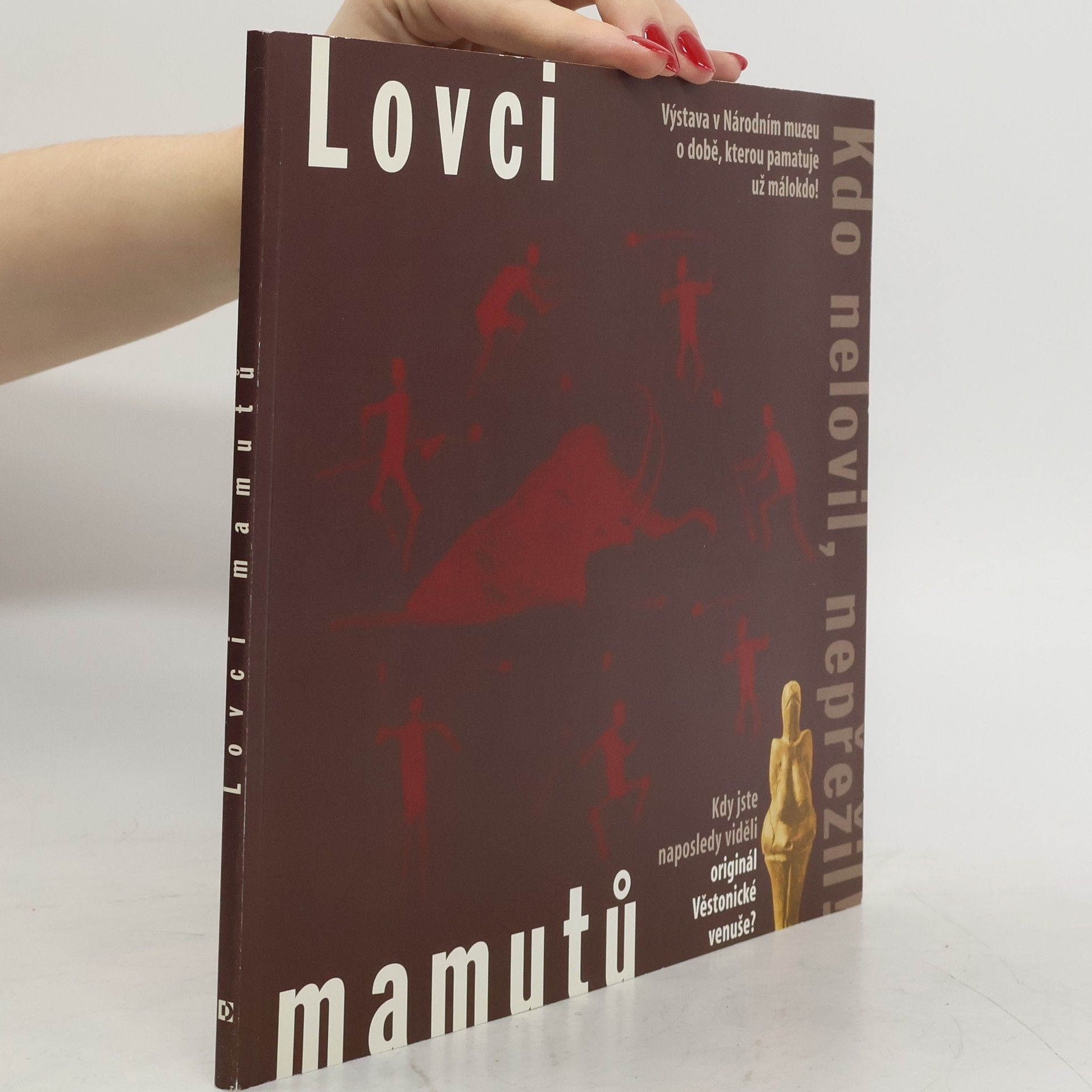 Kolektiv autorů Lovci mamutů