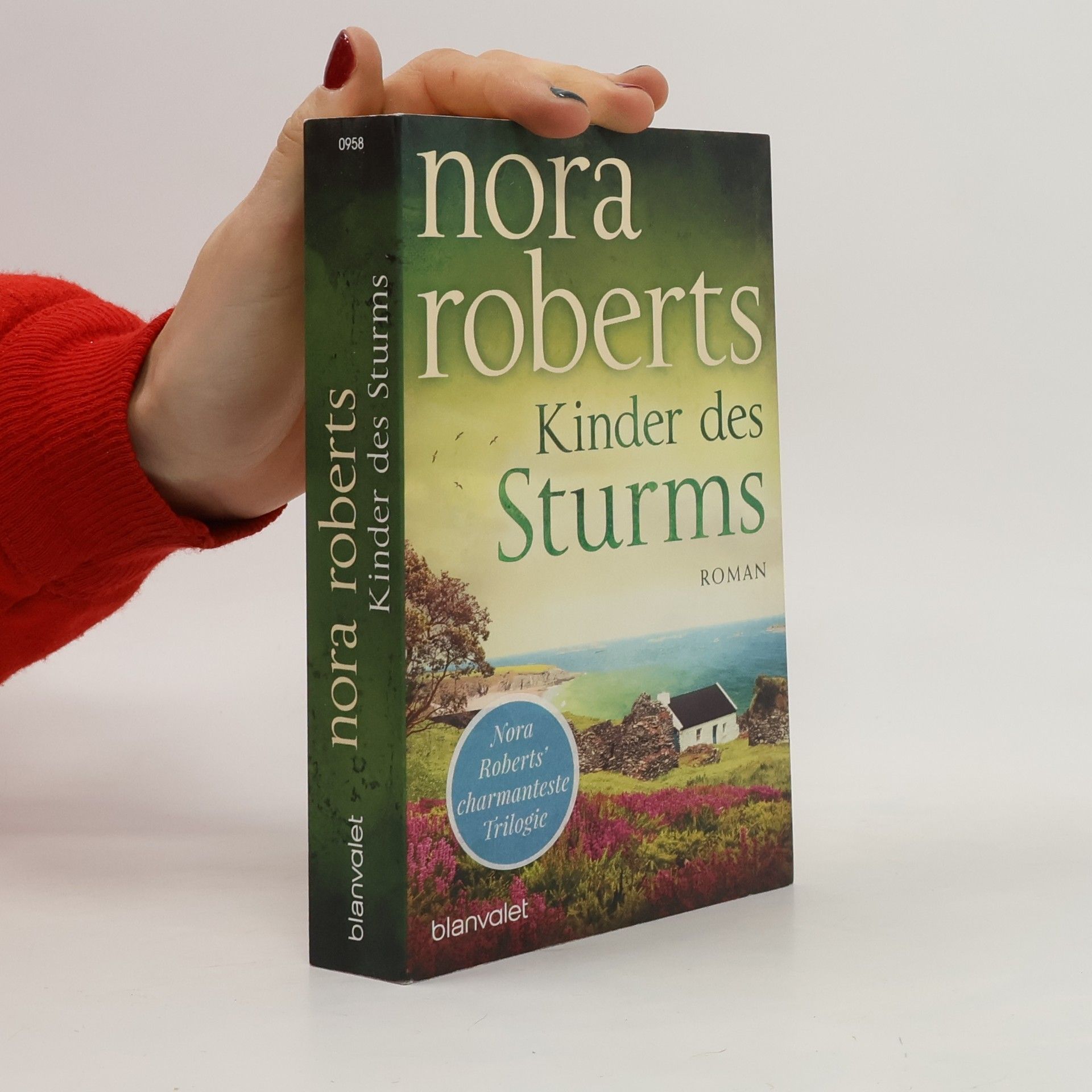Nora Roberts Kinder des Sturms