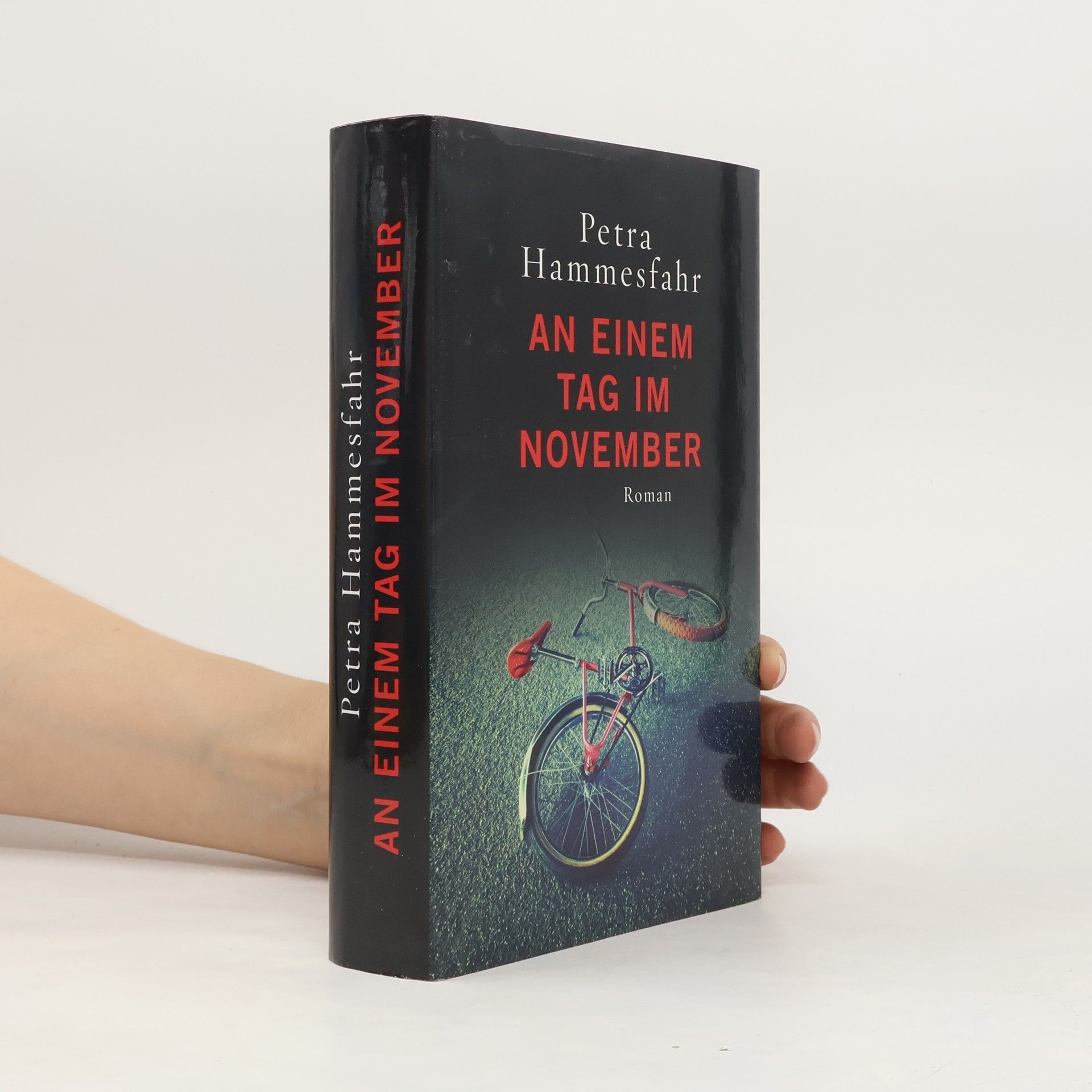 Petra Hammesfahr An einem Tag im November