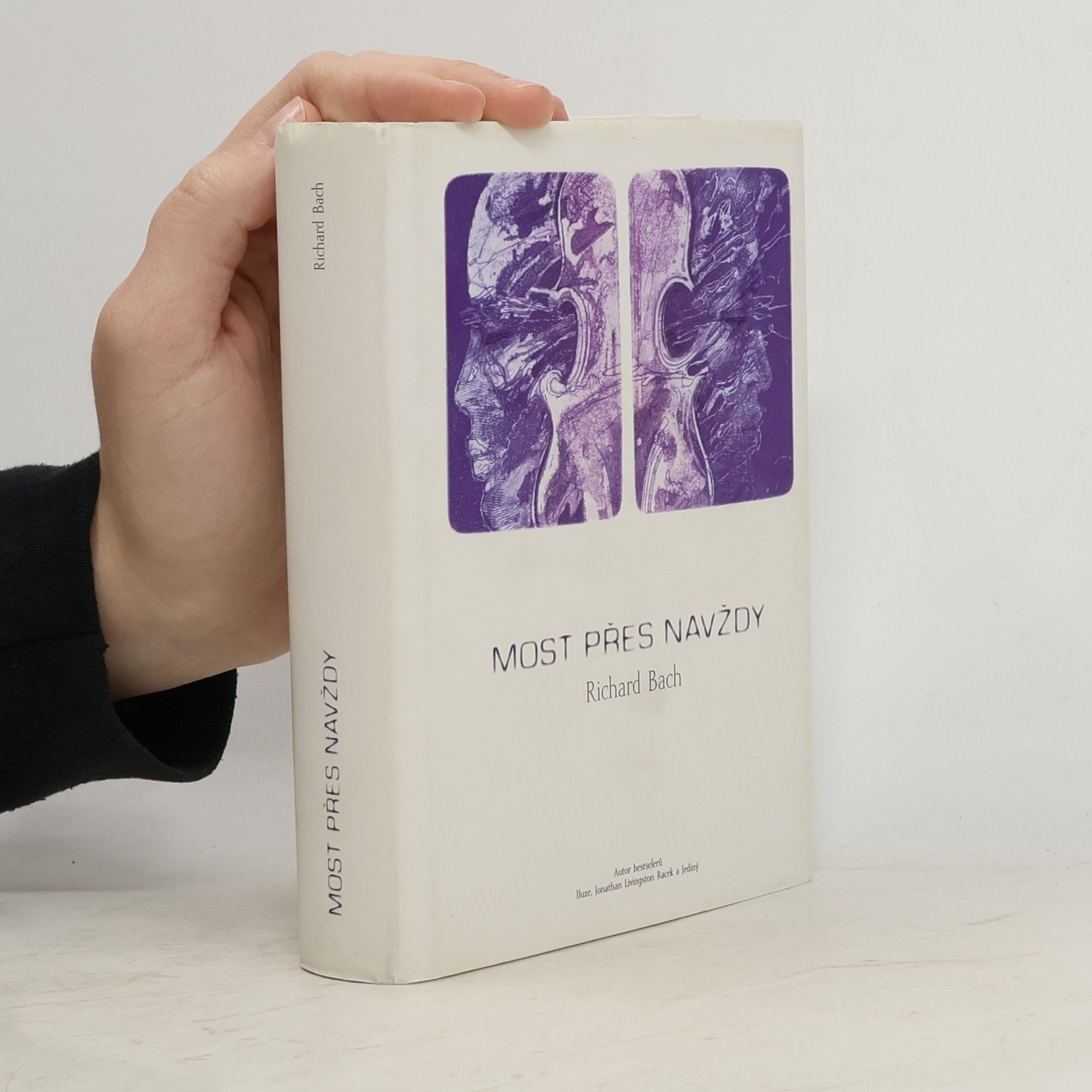 Richard David Bach Most přes navždy