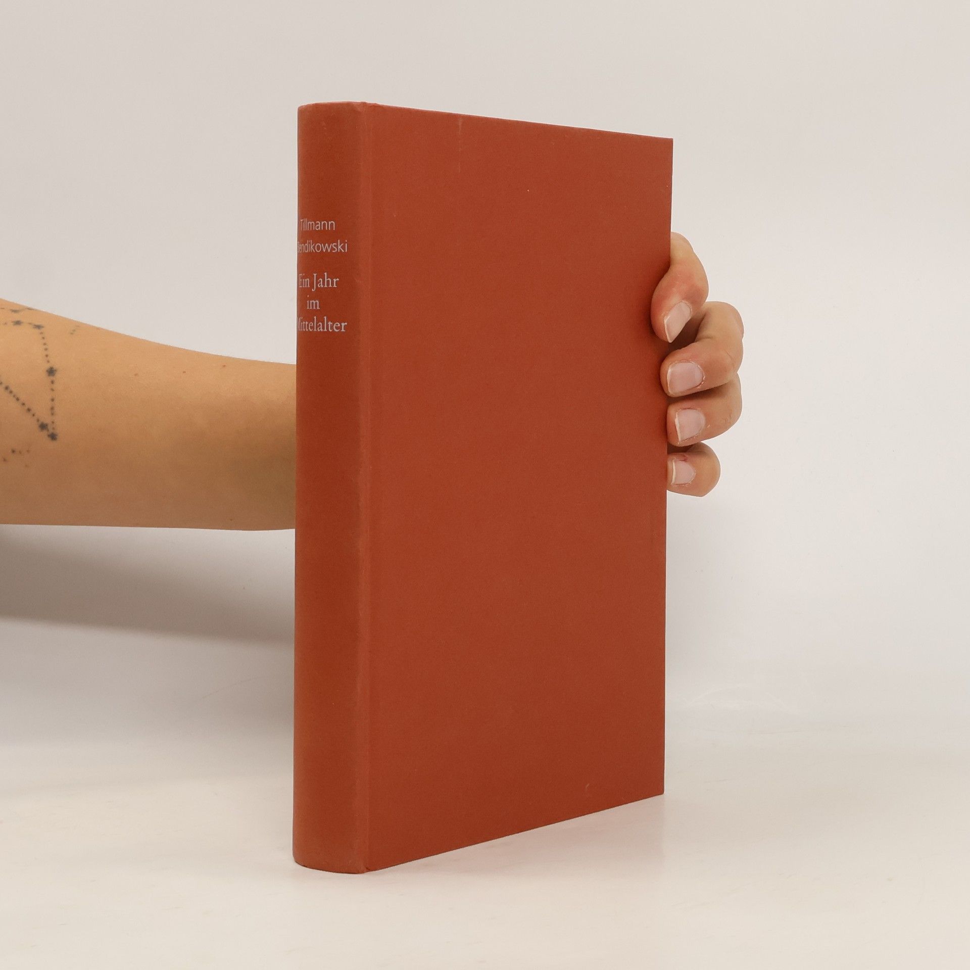 Ein Jahr im Mittelalter