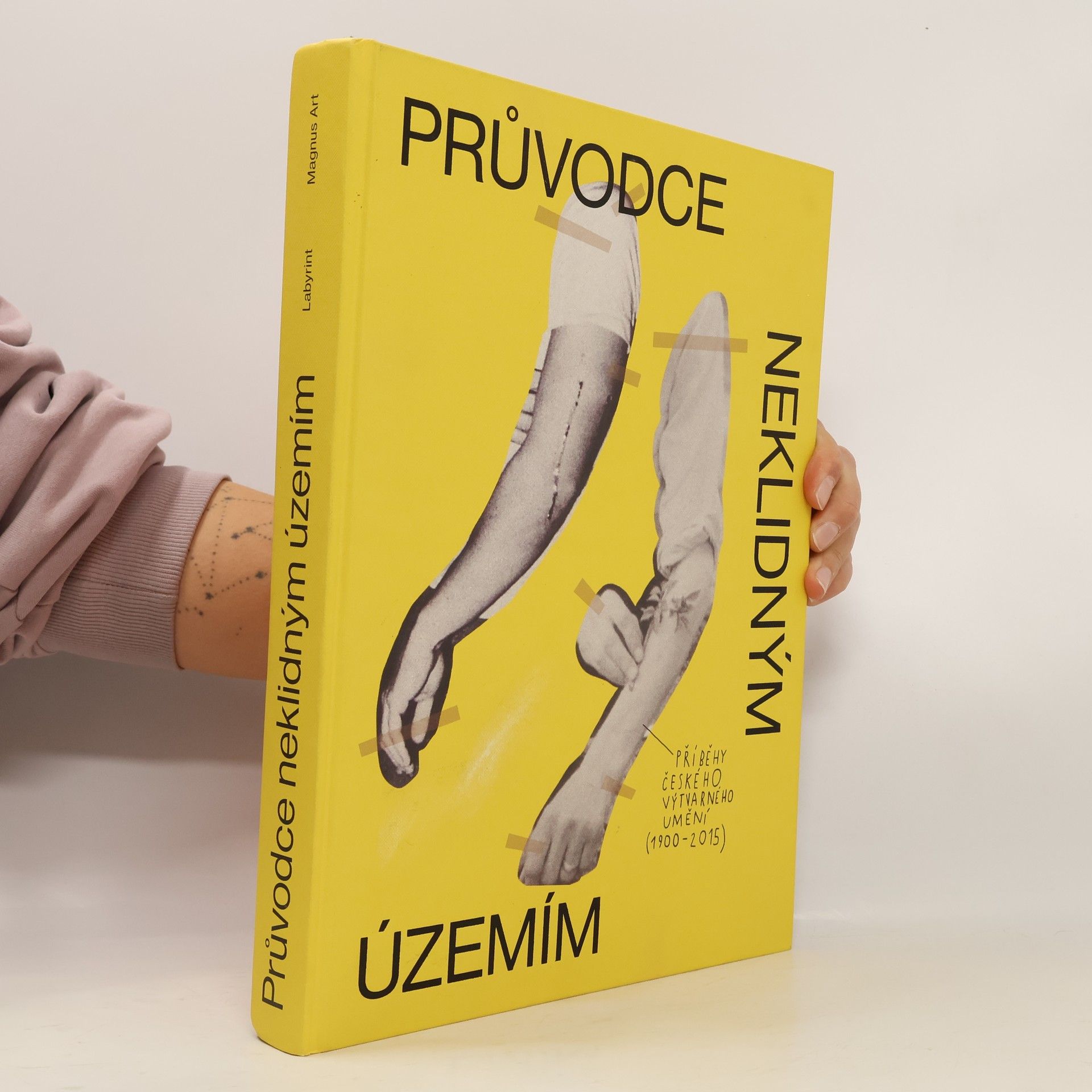 Ondřej Horák Průvodce neklidným územím. Příběhy českého výtvarného umění (1900-2015)