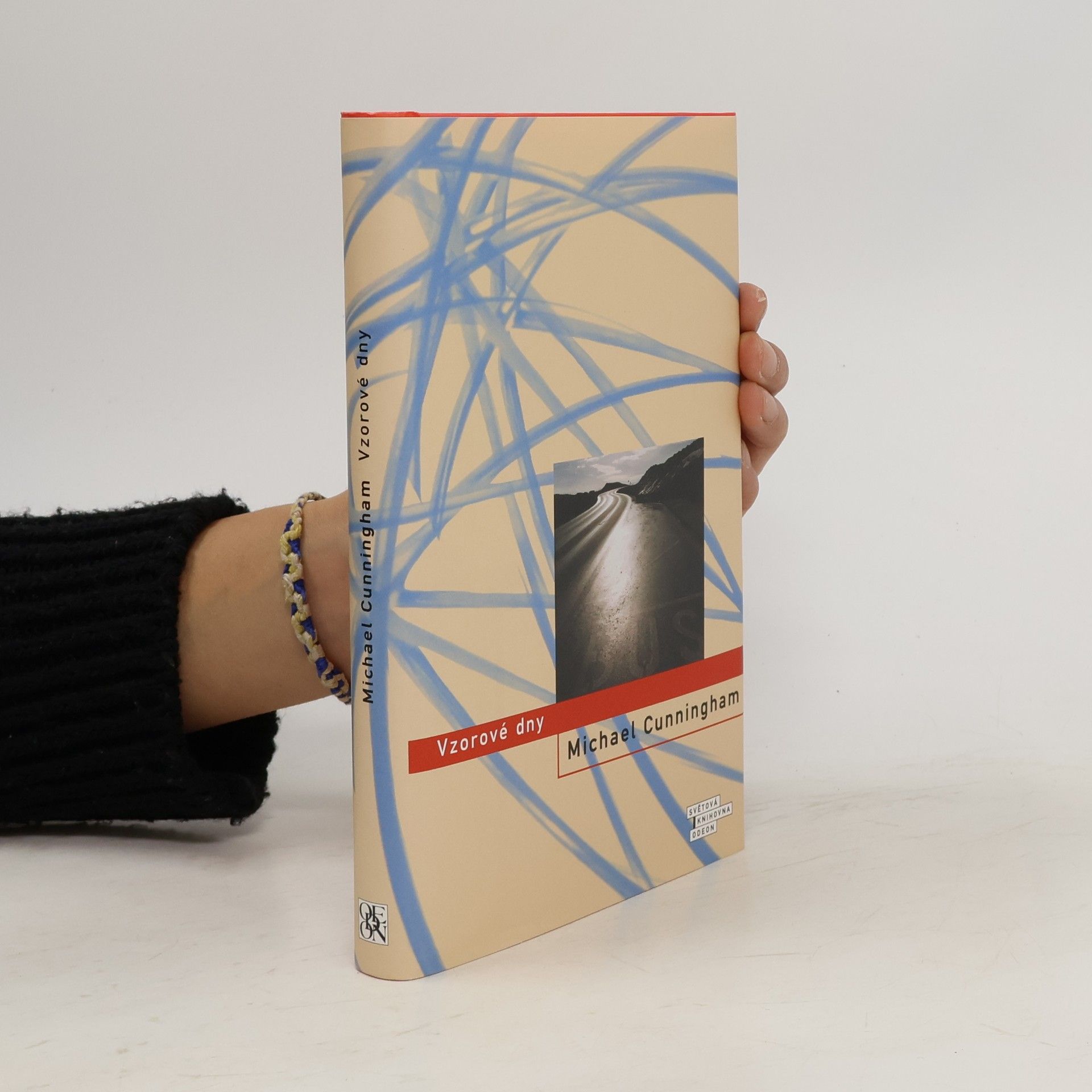 Michael Cunningham Vzorové dny