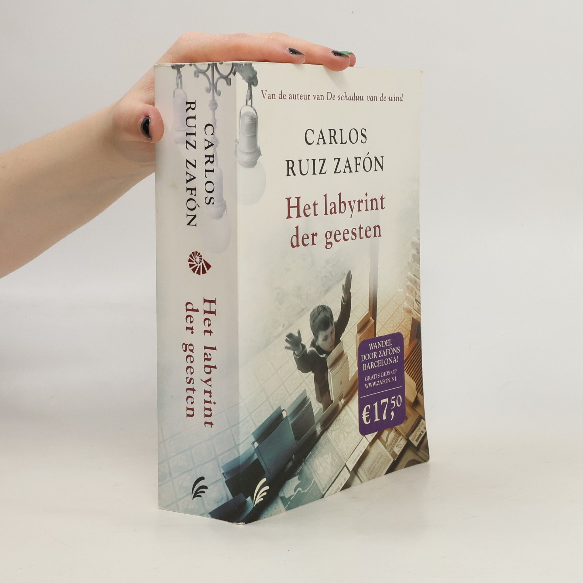 Carlos Ruiz Safon Het kerkhof der vergeten boeken - 4: Het labyrint der geesten