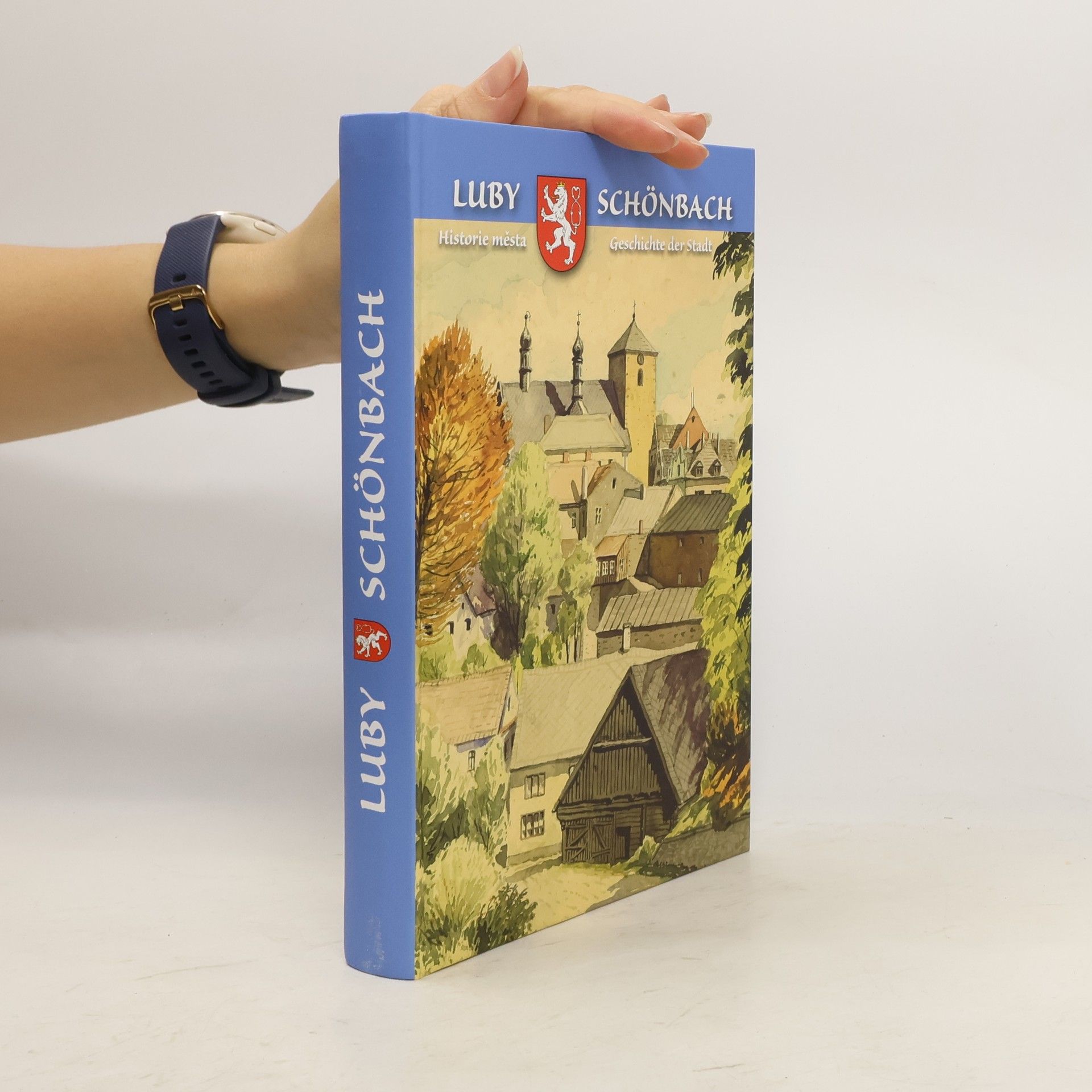 Autorenkollektiv Luby historie města / Schonbach Geschichte der Stadt