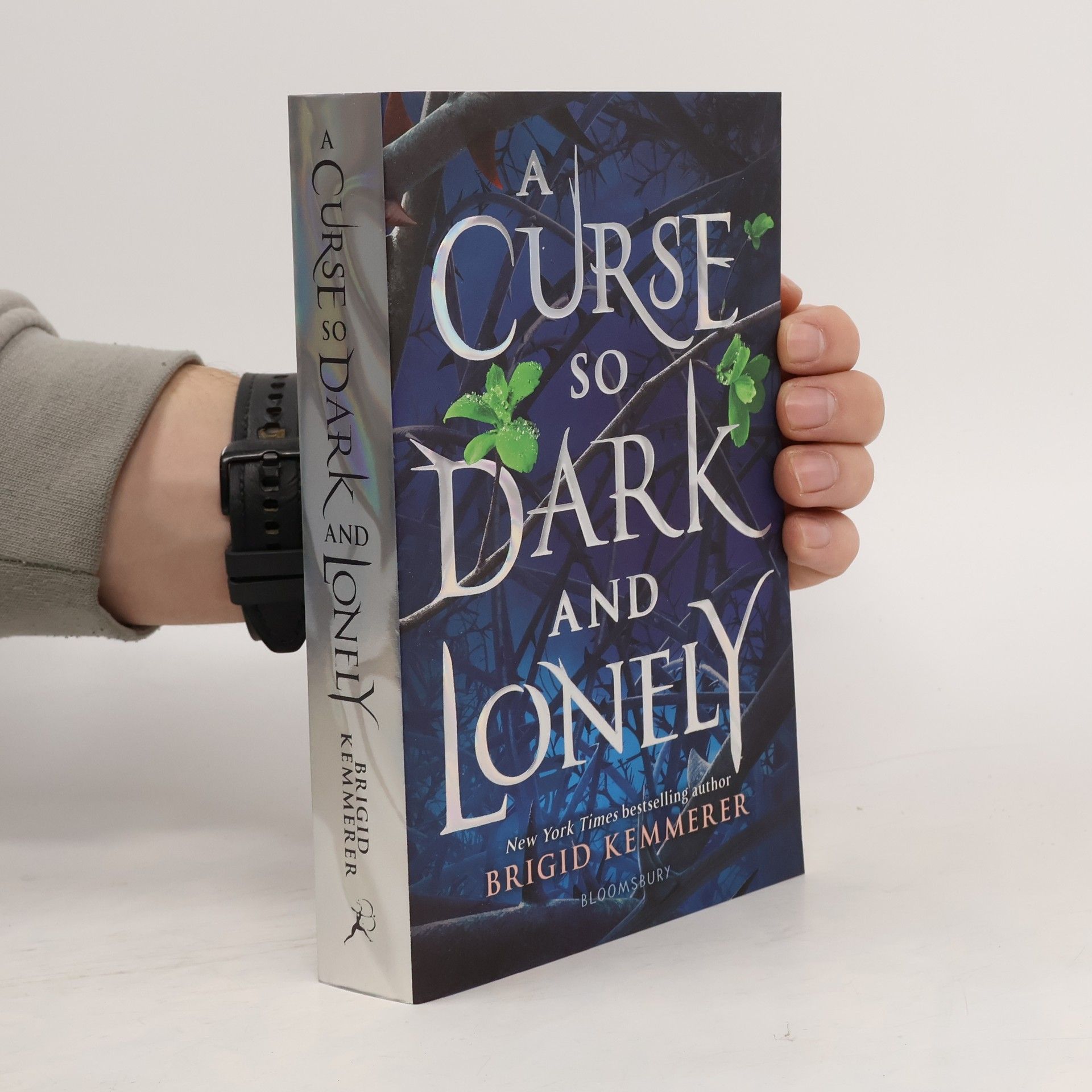 Brigid Kemmererová A curse so dark and lonely (1. díl série)