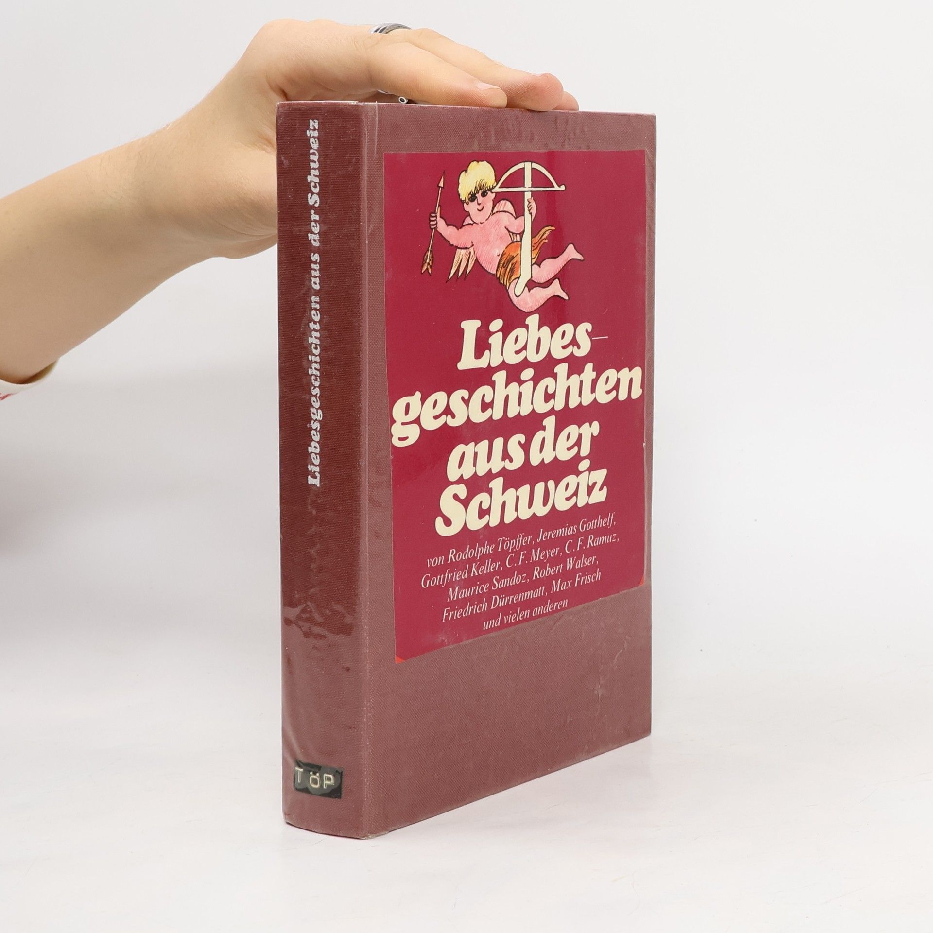 Kolektiv autorů Liebesgeschichten aus der Schweiz