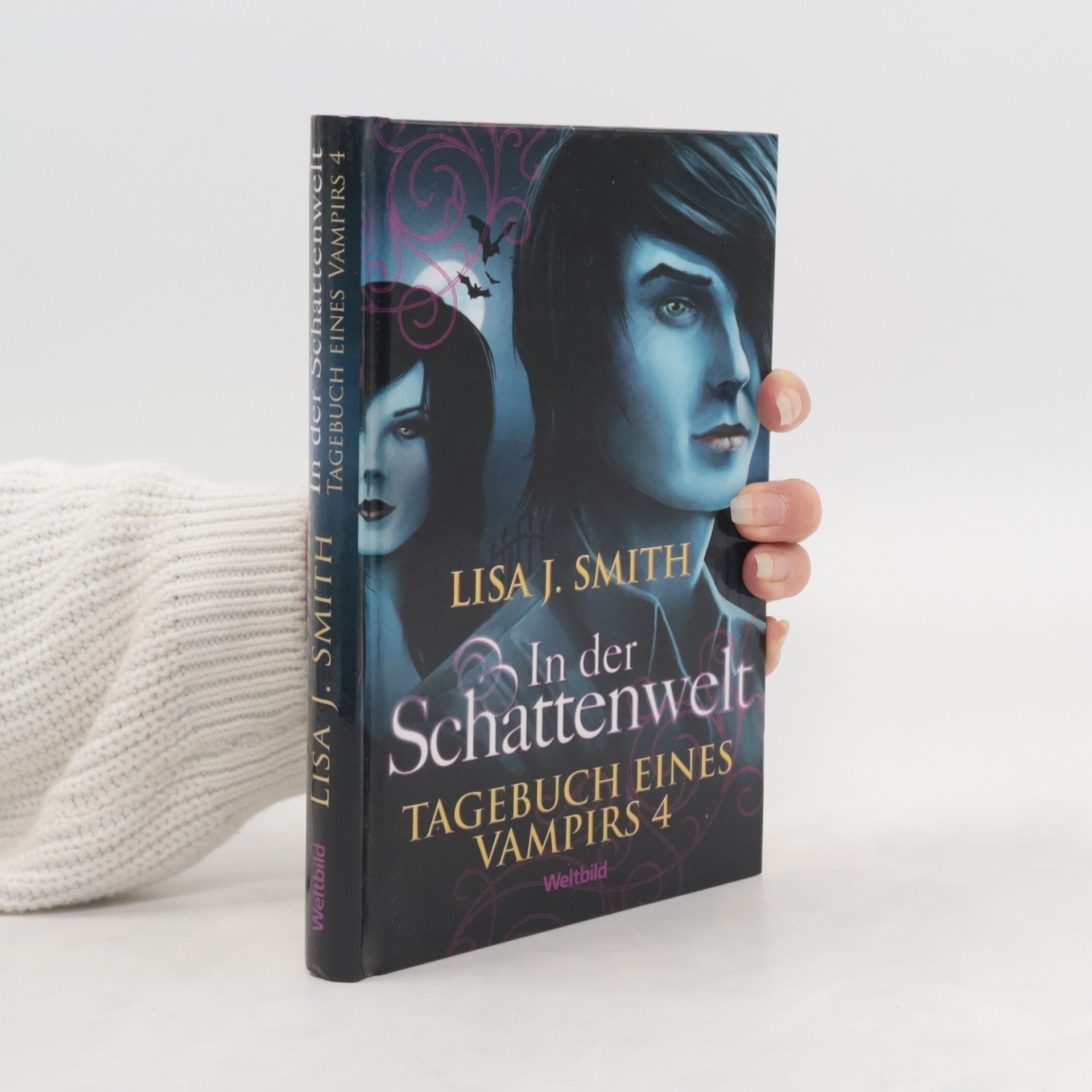 Lisa J. Smith Tagebuch eines Vampirs 4. In der Schattenwelt