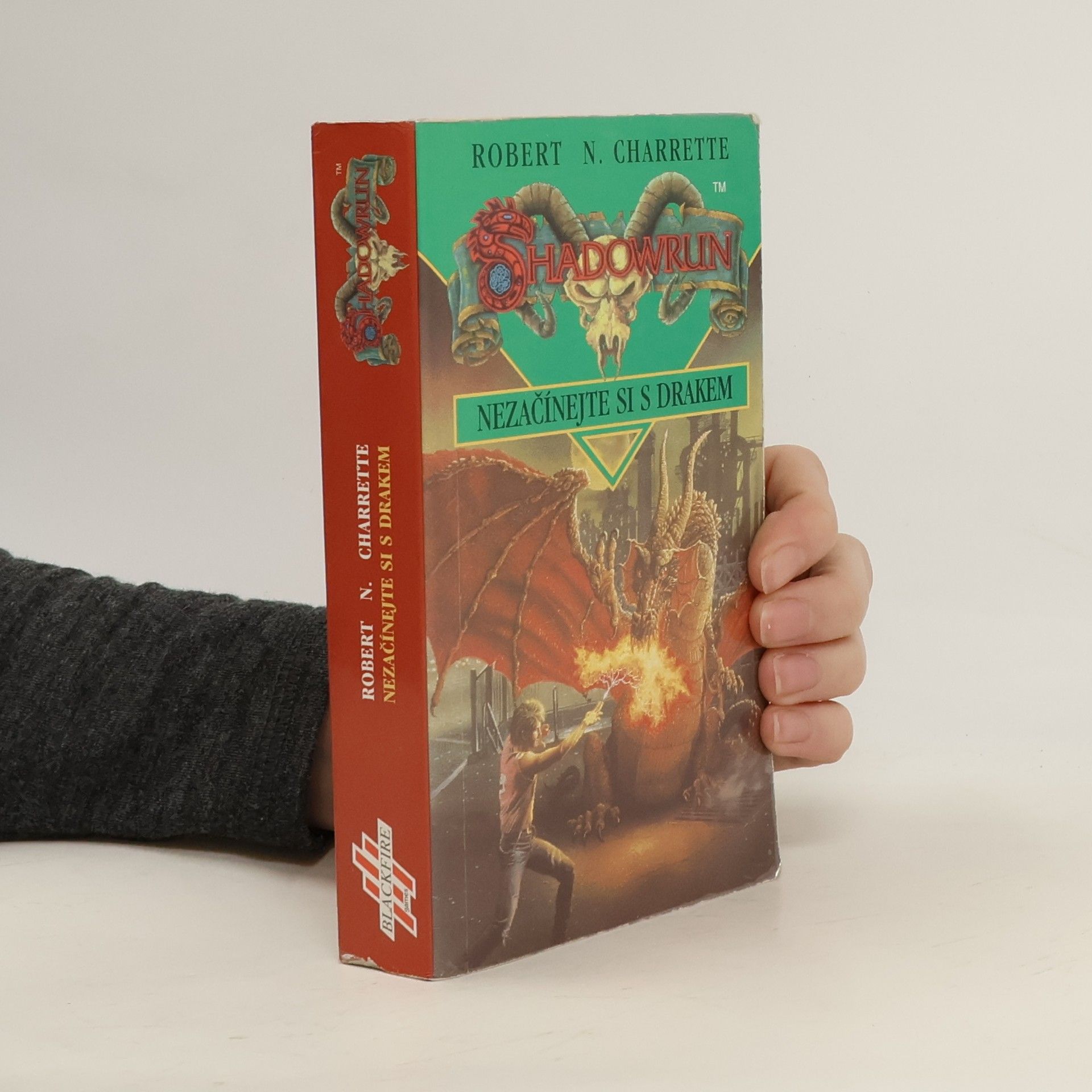 Nezačínejte si s drakem