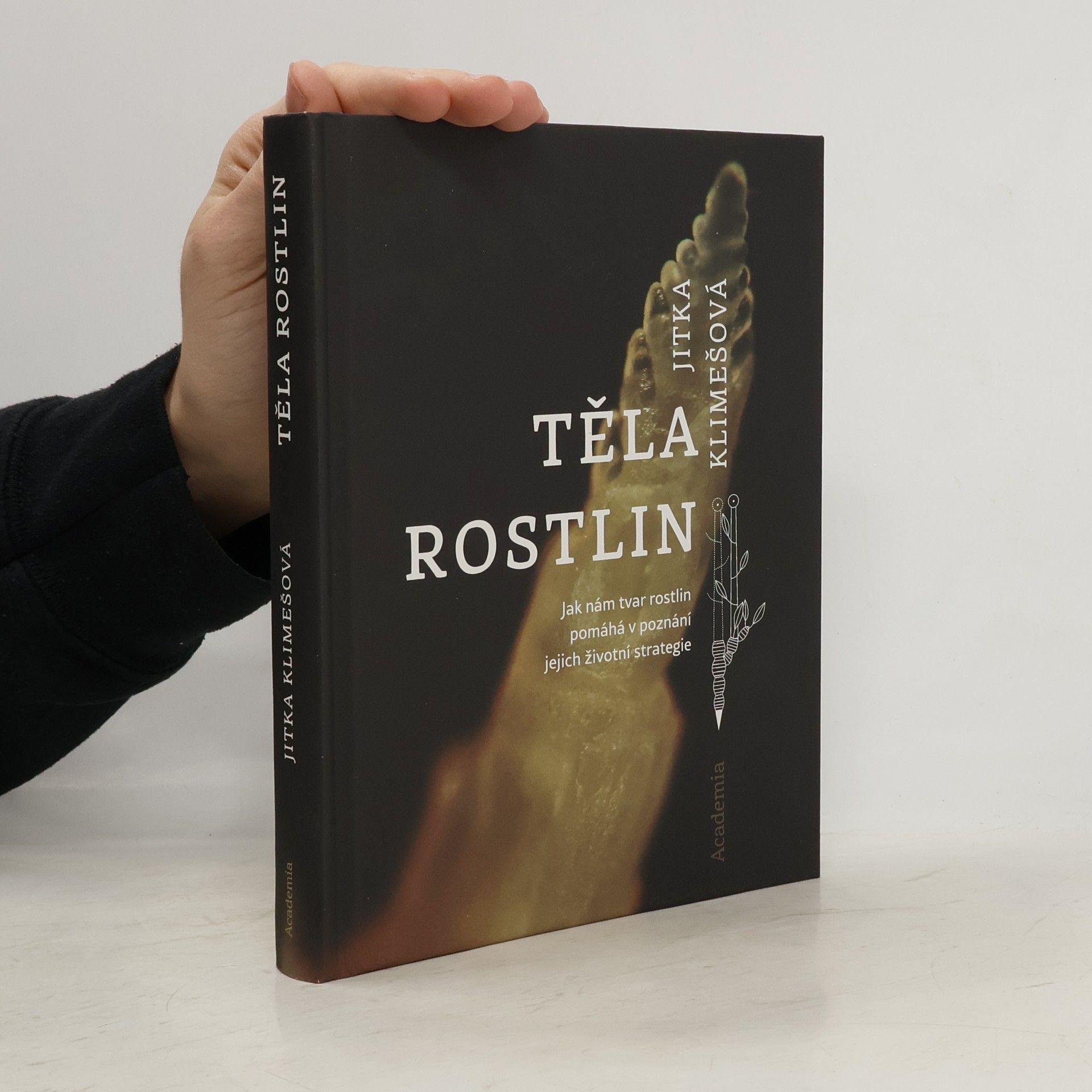 Těla rostlin : jak nám tvar rostlin pomáhá v poznání jejich životní strategie