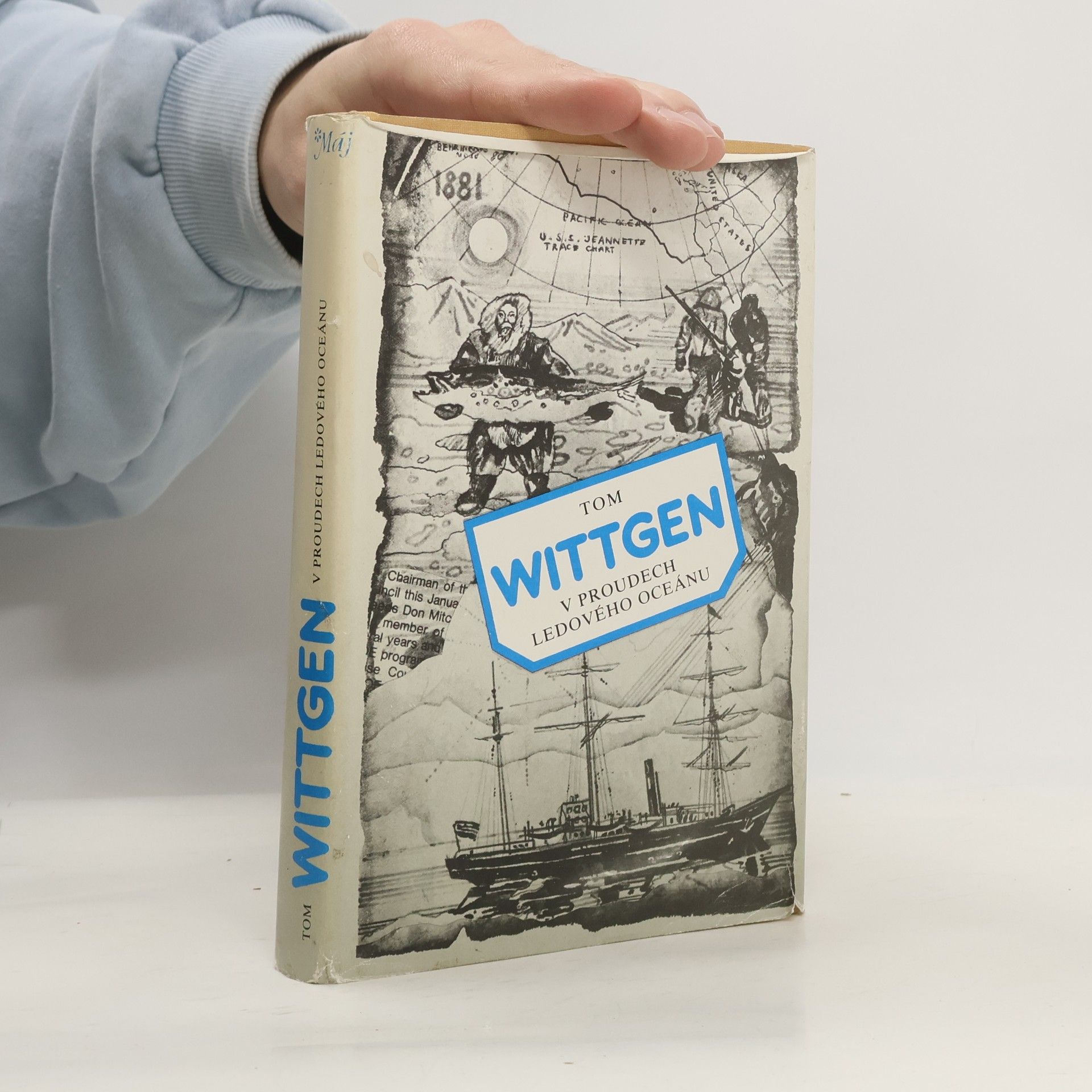 V proudech ledového oceánu