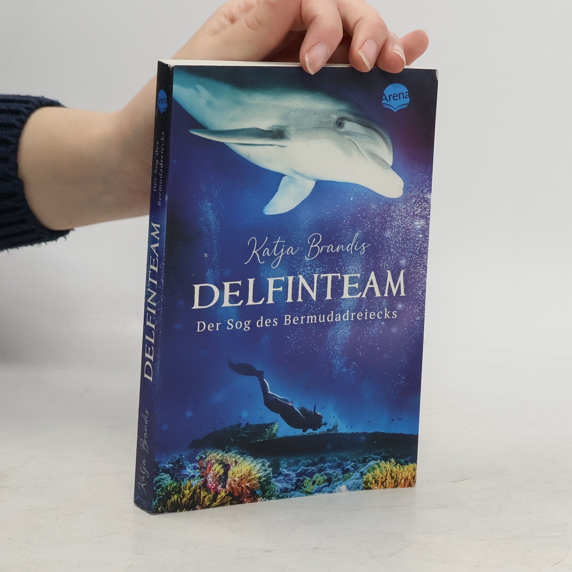 Katja Brandis Der Sog des Bermudadreiecks