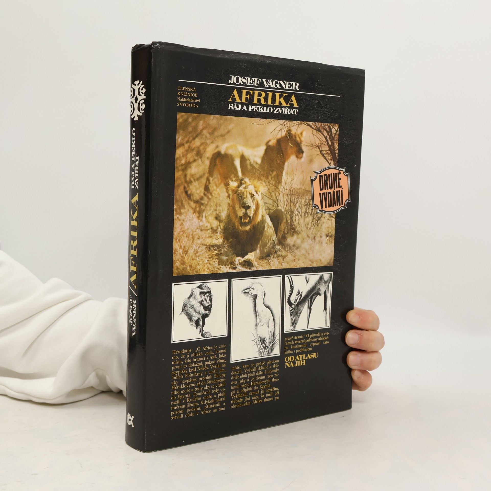 Afrika. Ráj a peklo zvířat