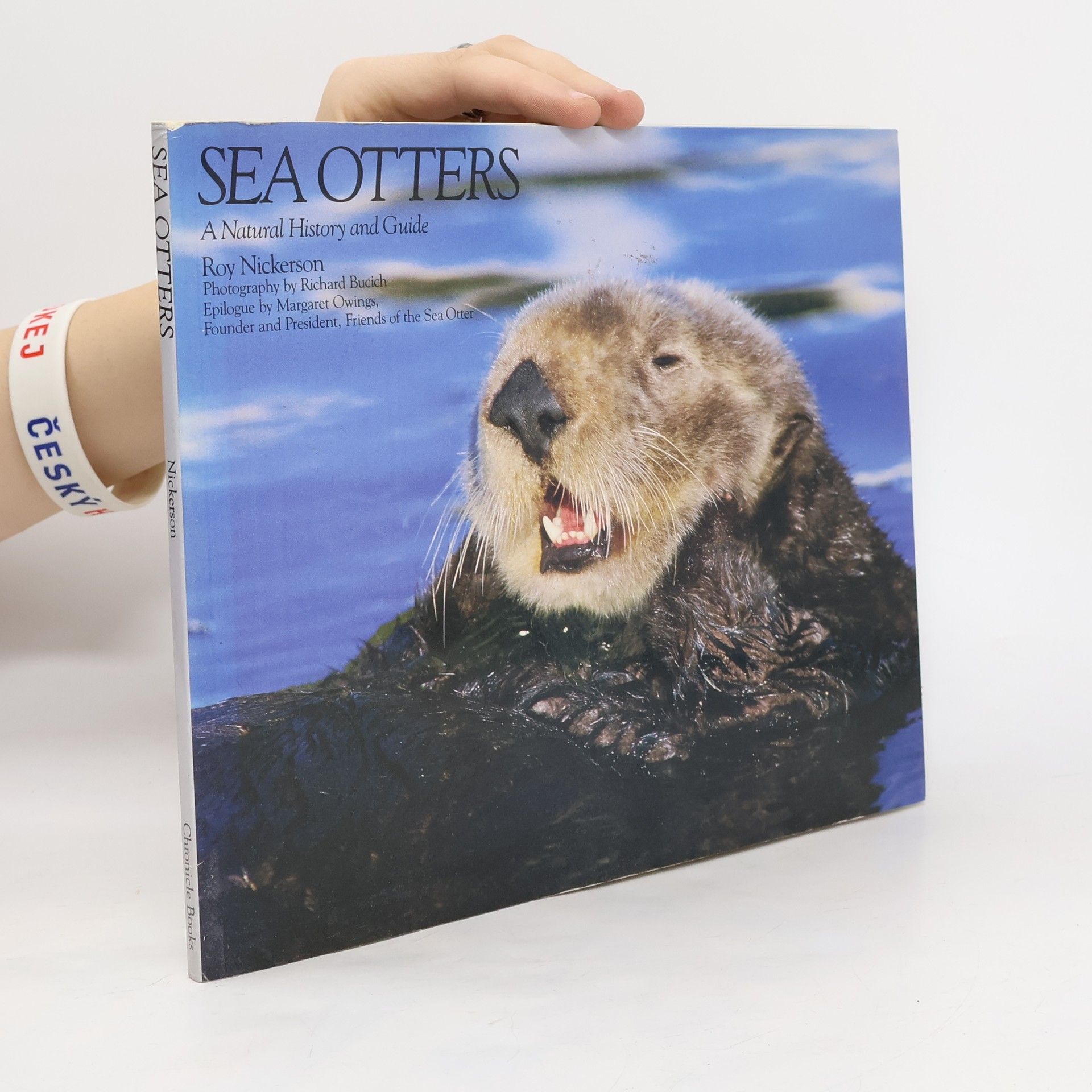 Roy Nickerson Sea Otters