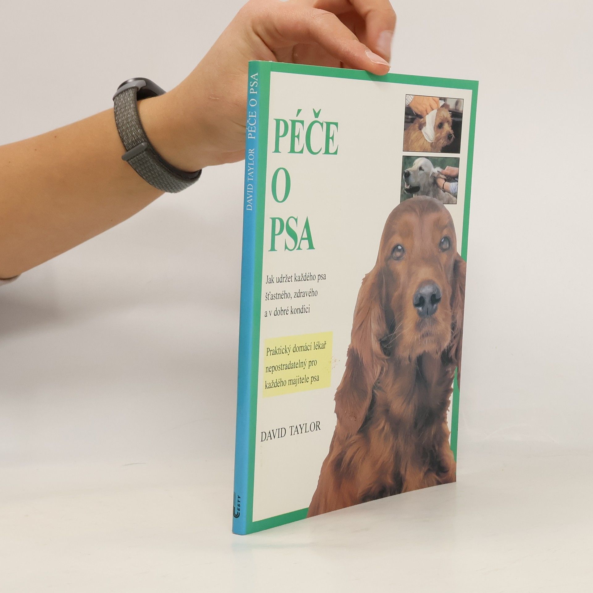 David Taylor Péče o psa