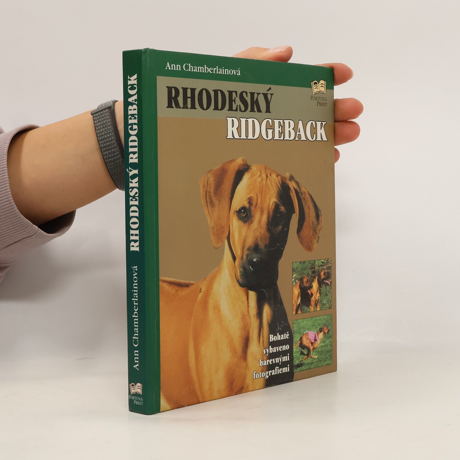 Rhodeský ridgeback