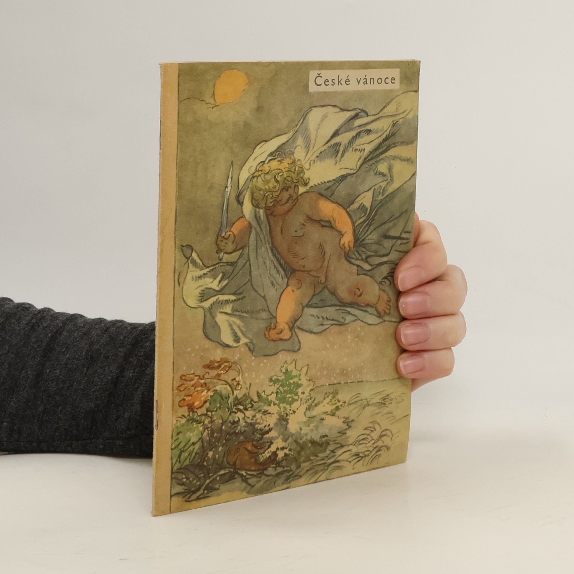 Kolektiv autorů České vánoce