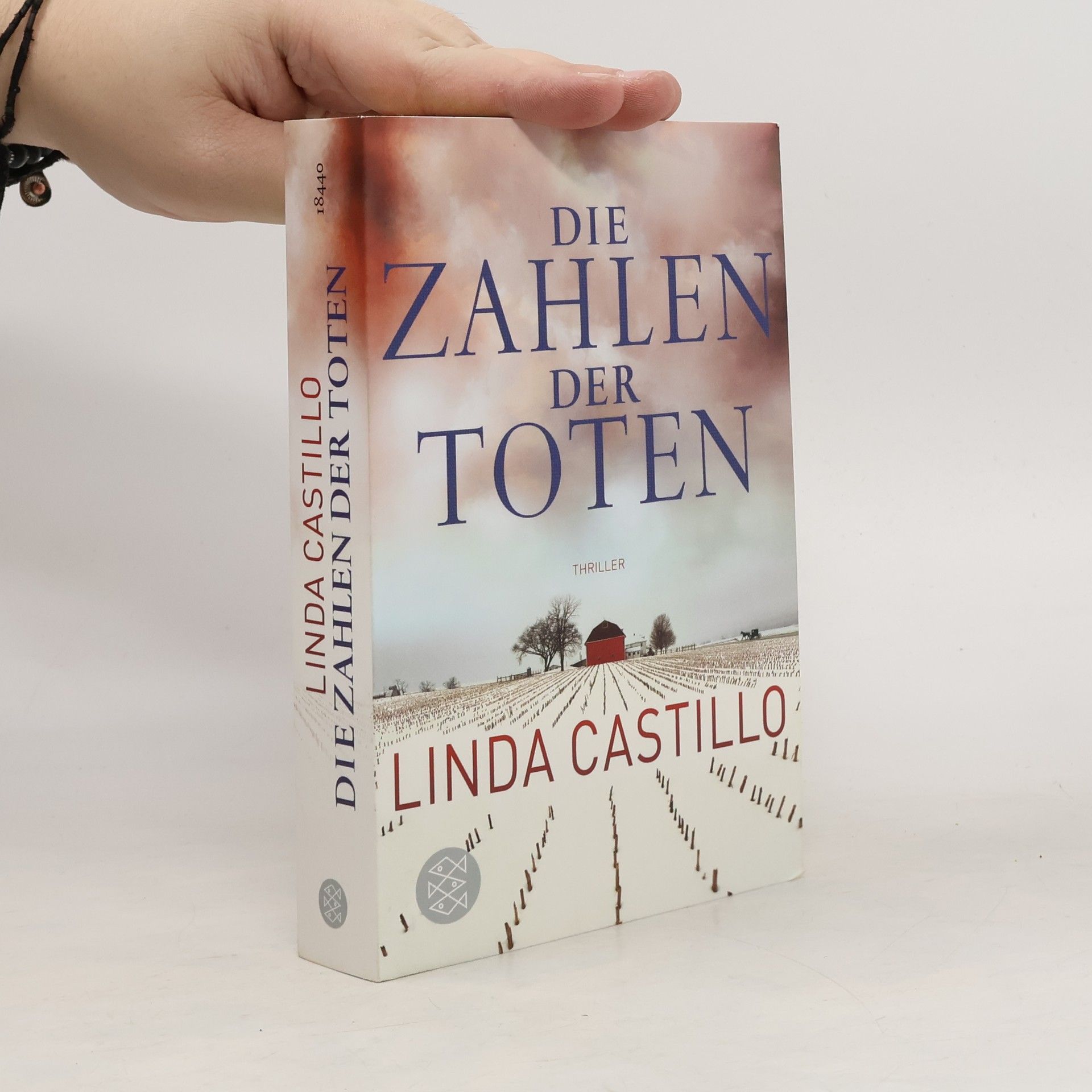 Linda Castillo Die Zahlen der Toten