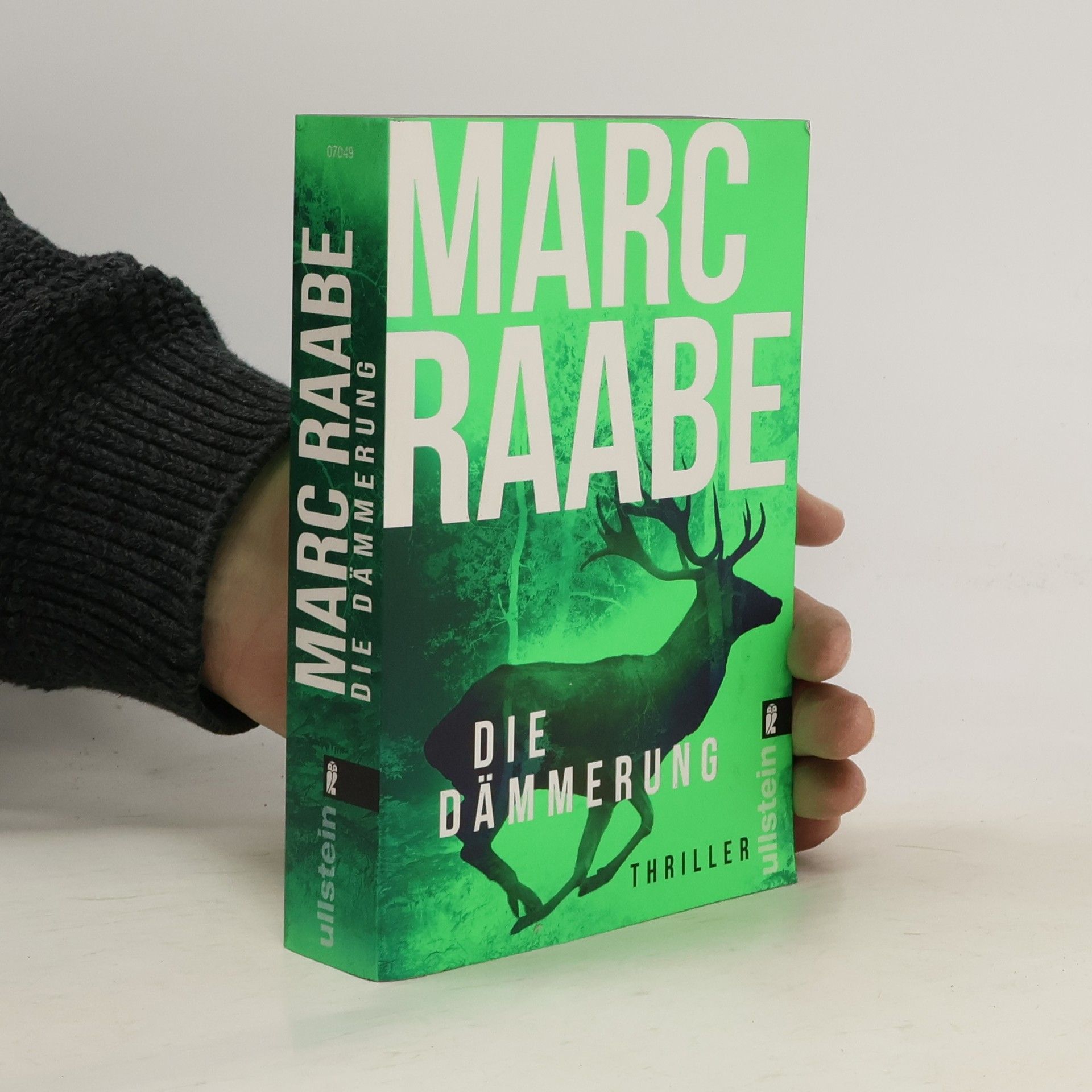 Marc Raabe Die Dämmerung