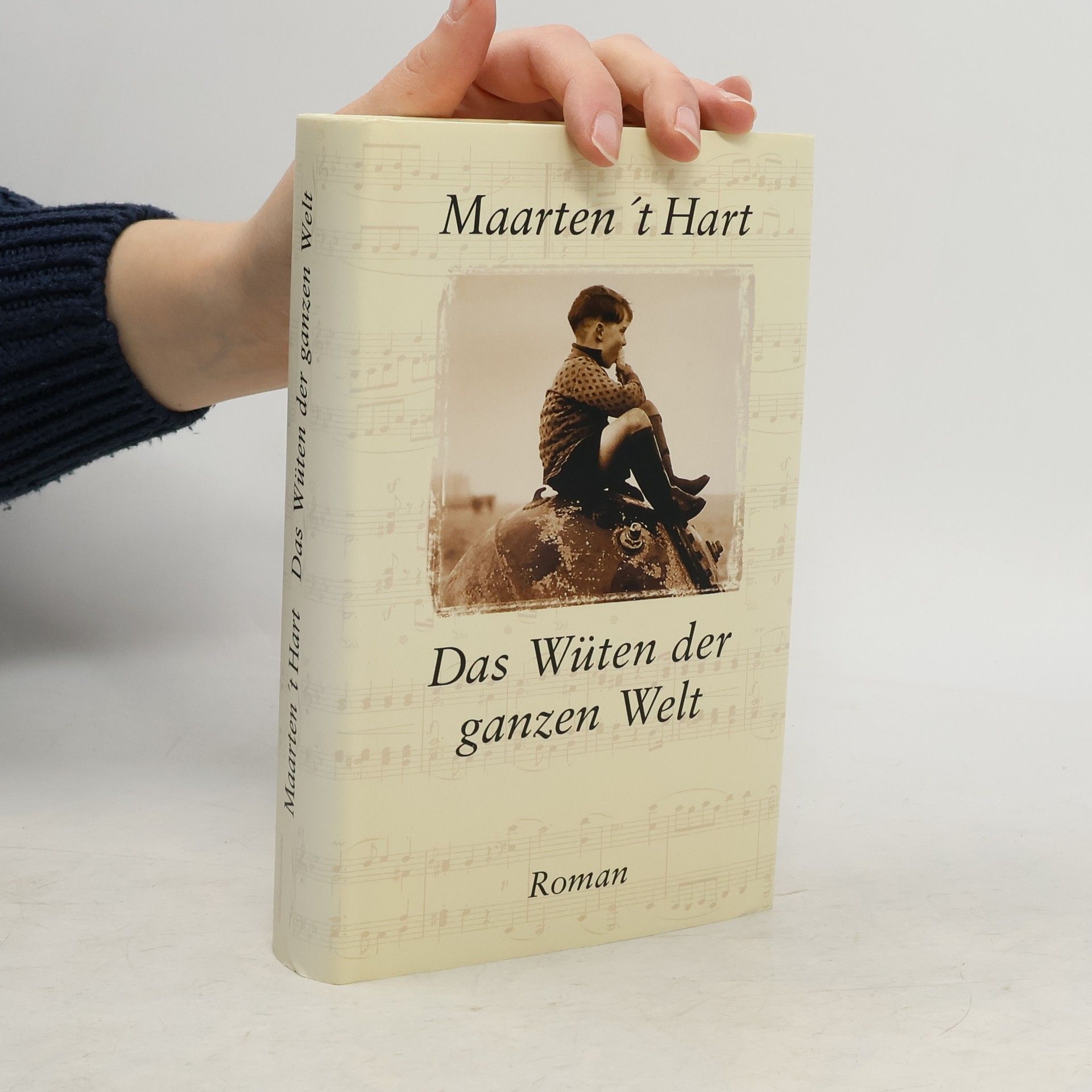 Maarten ’t Hart Das Wüten der ganzen Welt