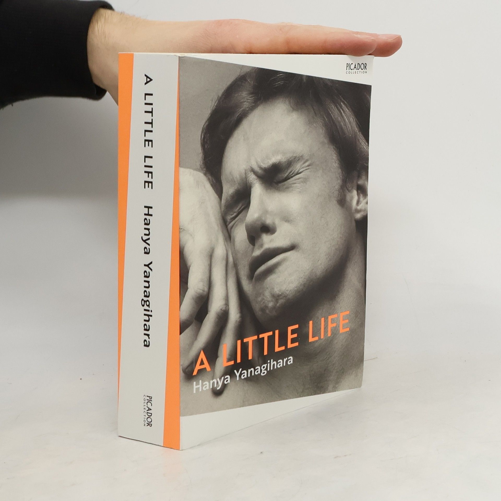 Hanya Yanagihara A Little Life