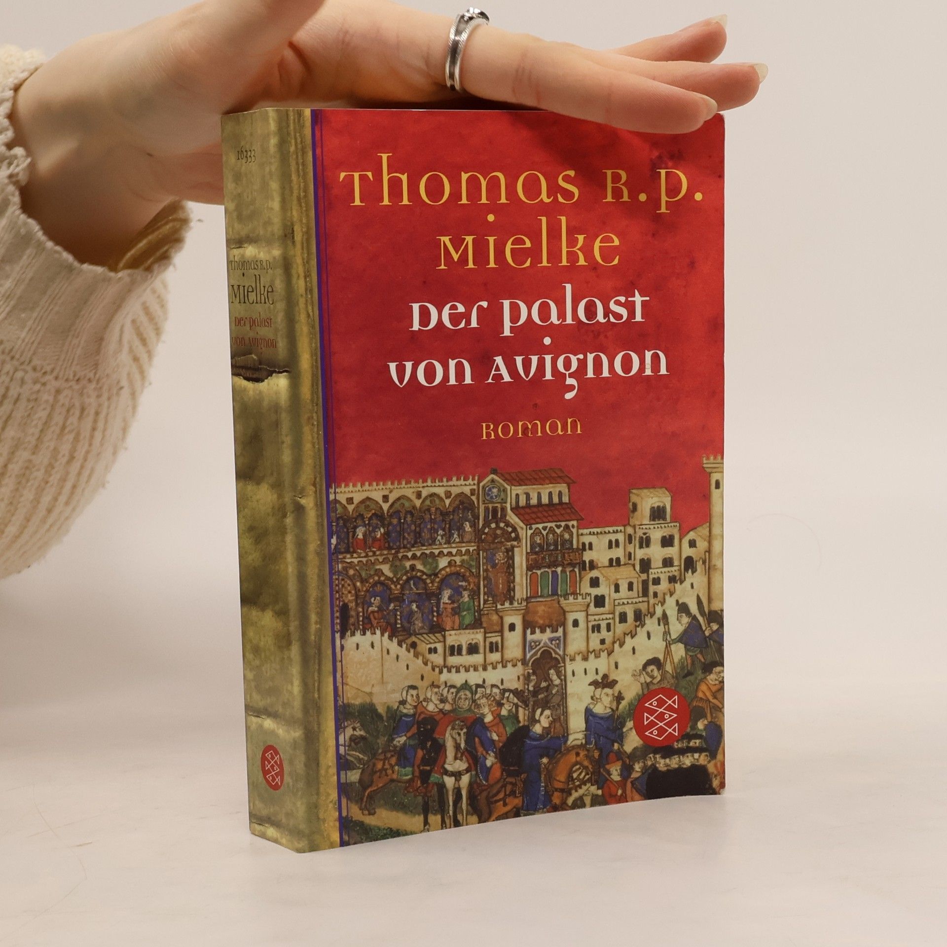 Der Palast von Avignon