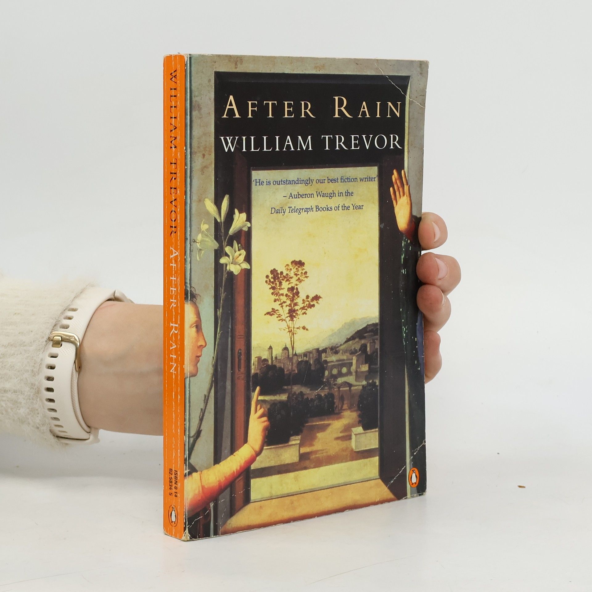 William Trevor After Rain