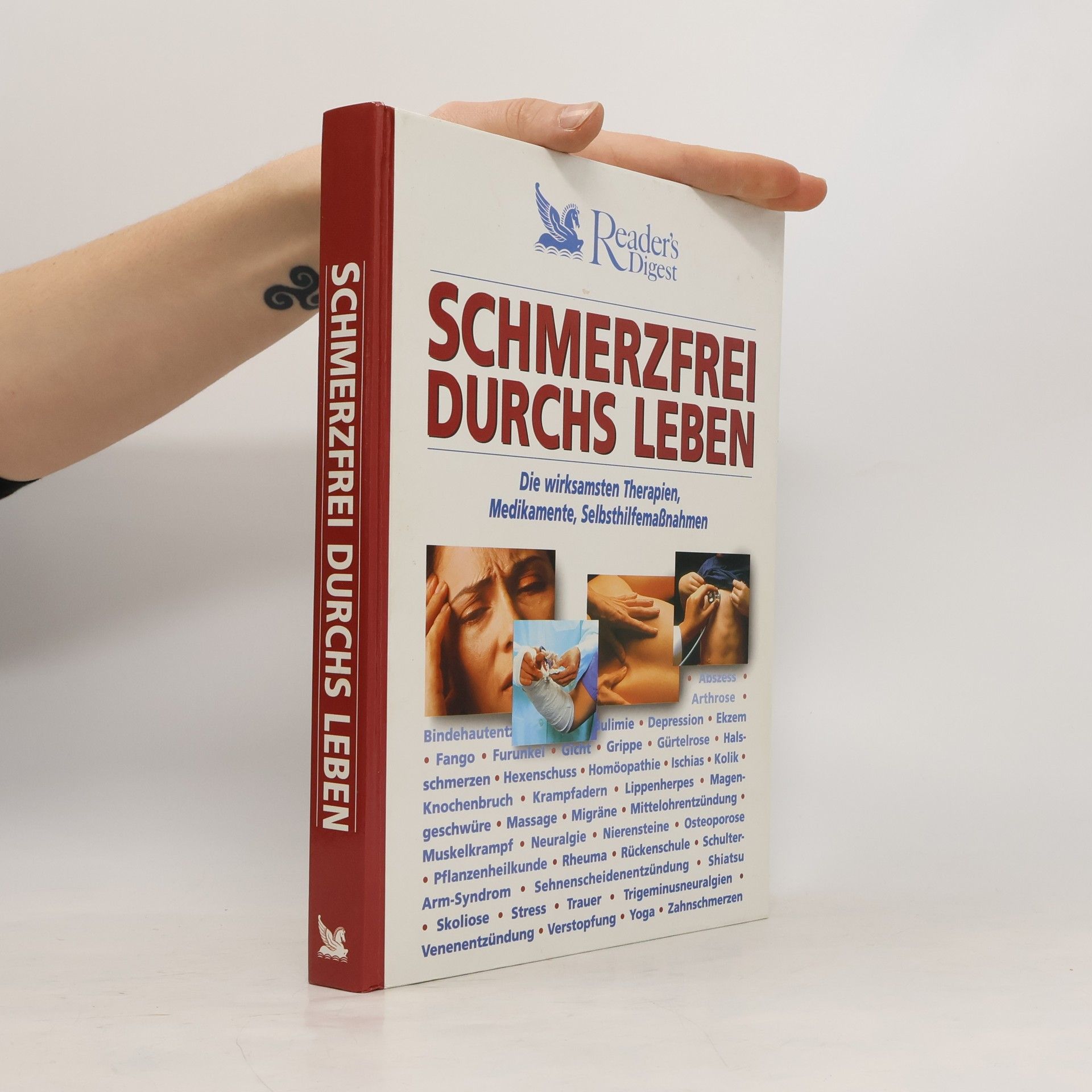 Kolektív autorov Schmerzfrei durchs Leben