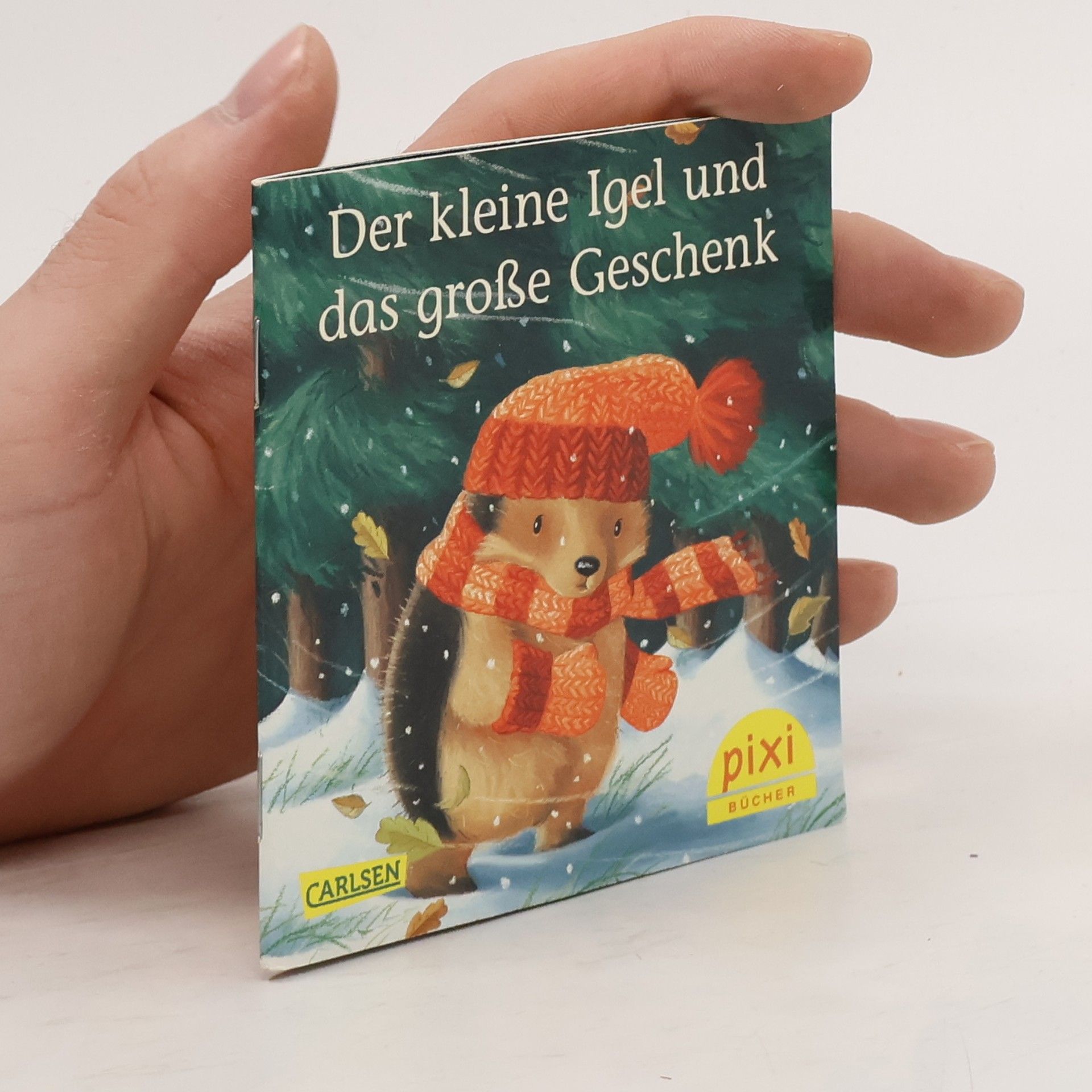 Der kleine Igel und das große Geschenk