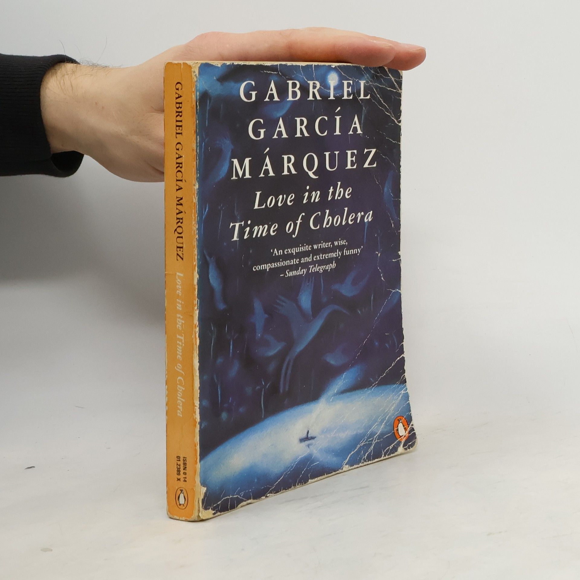 Love in the Time of Cholera