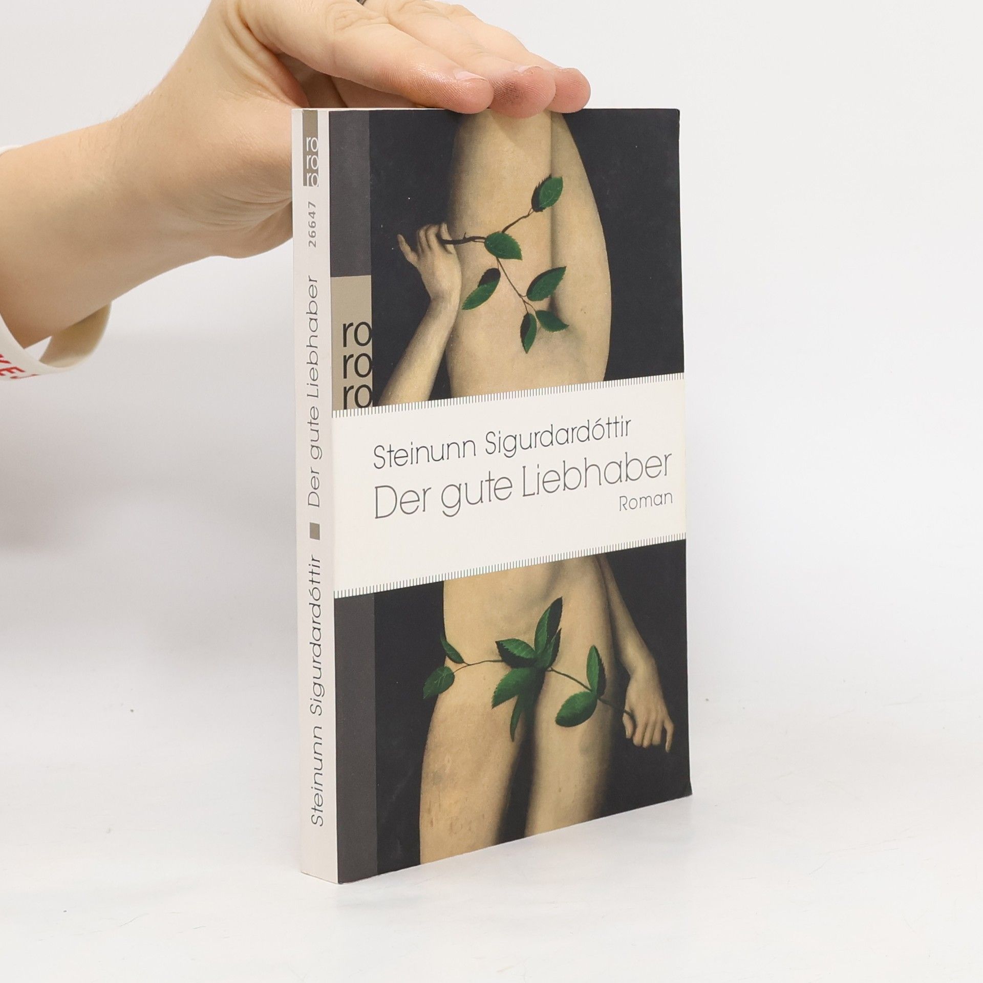 Steinunn Sigurðardóttir Der gute Liebhaber