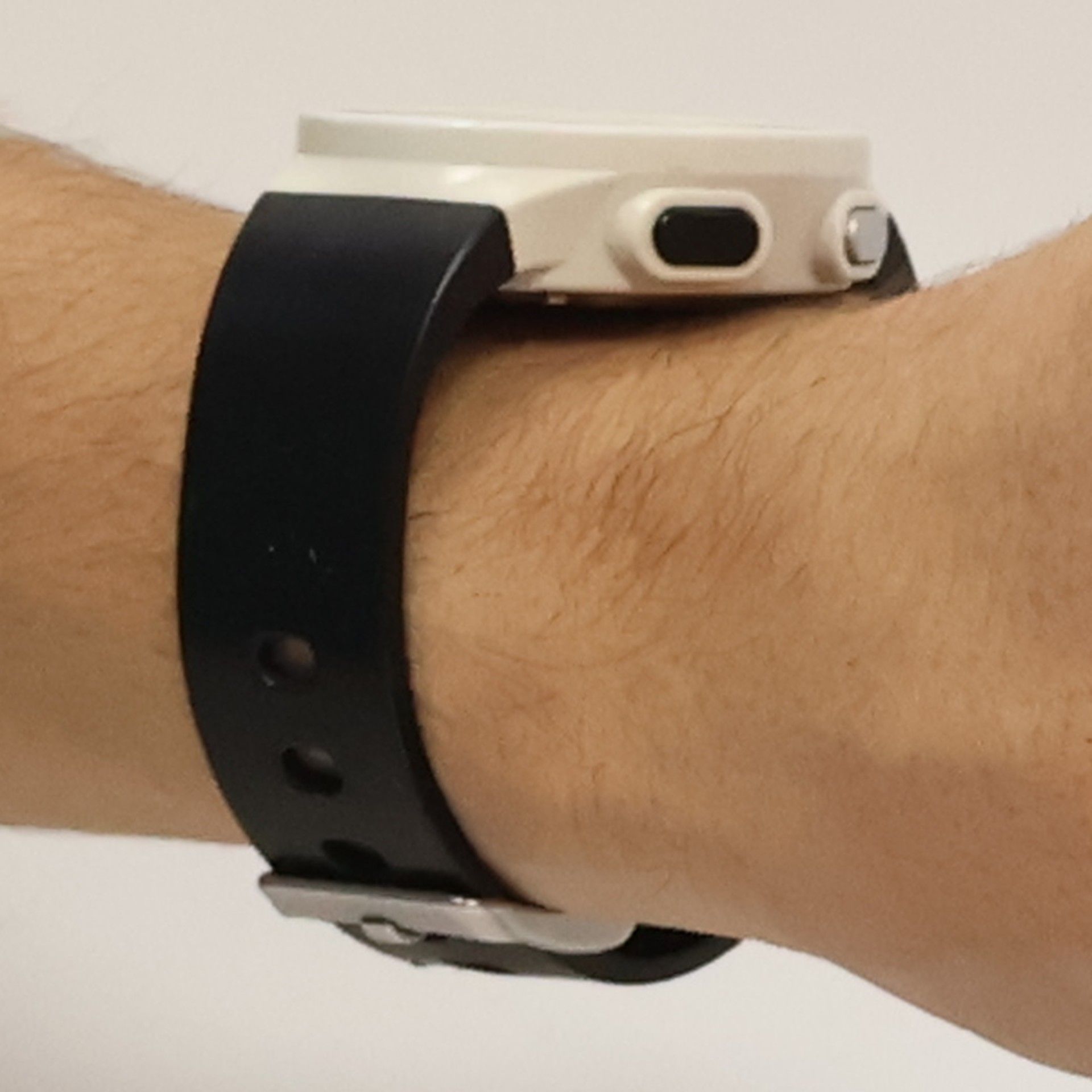 A. M. Homes Fremde Nähe