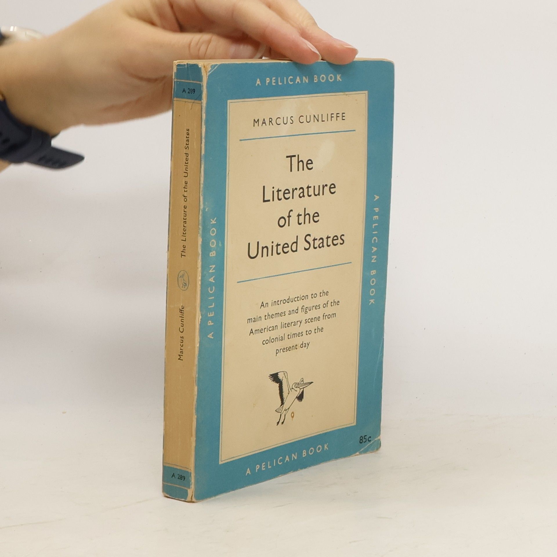 Marcus Cunliffe The Literature of the United States