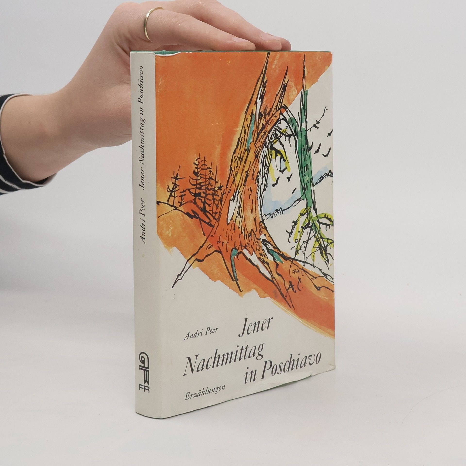 Andri Peer Jener Nachmittag in Poschiavo